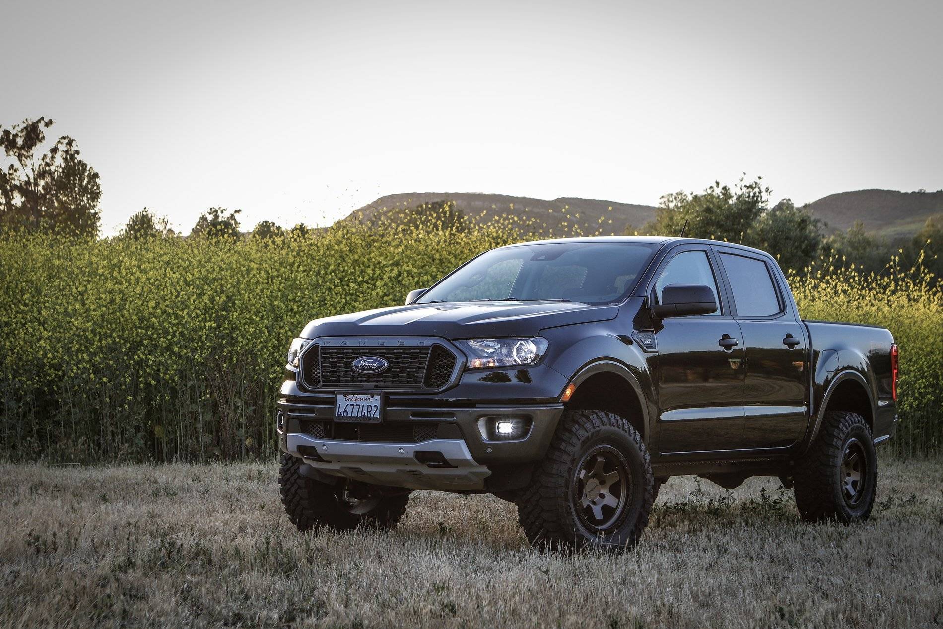 Ford Ranger His name is Steve McQueen D609EF84-3EBC-434B-8F30-1B75020AE48C