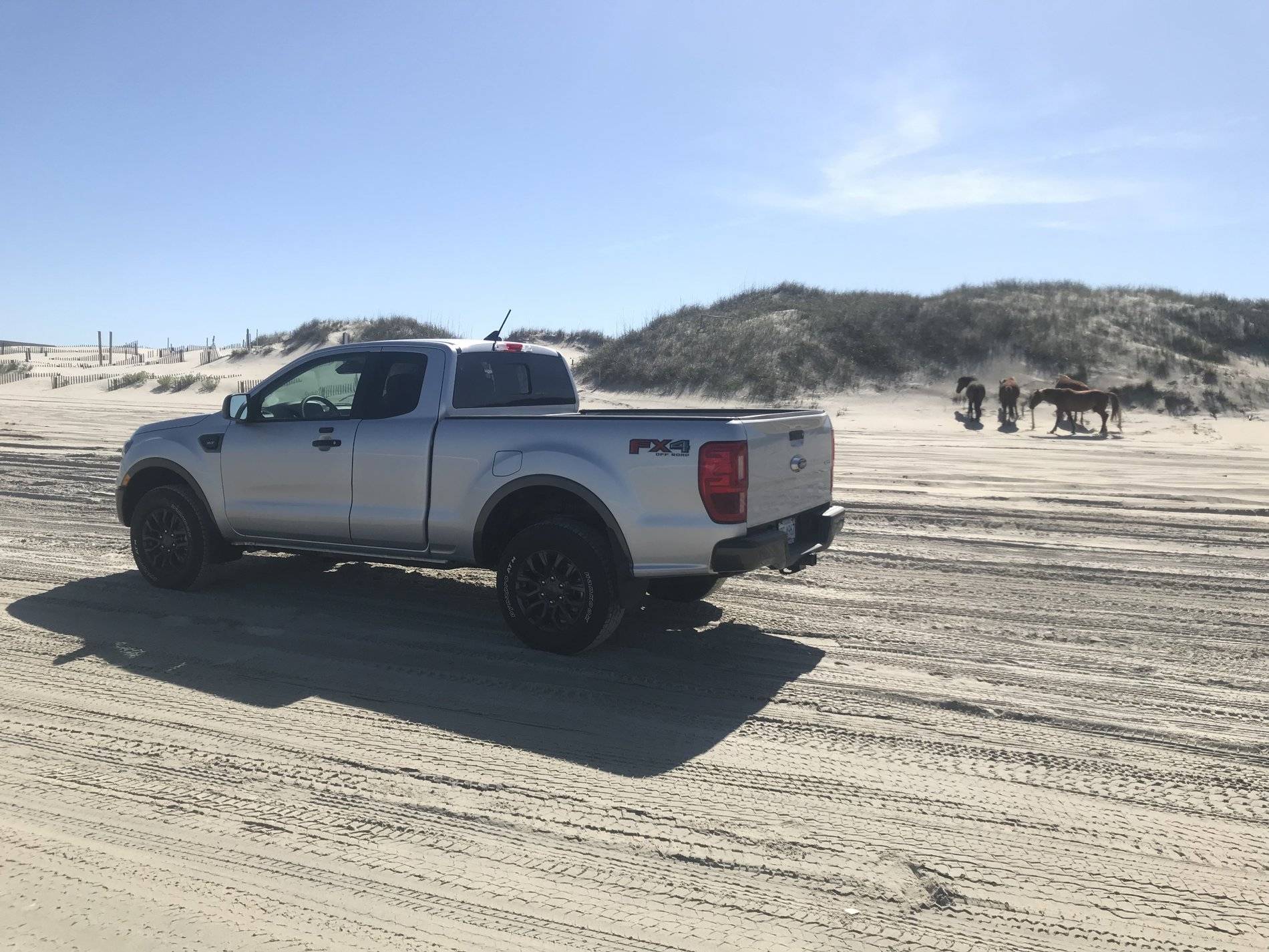 Ford Ranger INGOT SILVER Ranger Club Thread IMG_4657