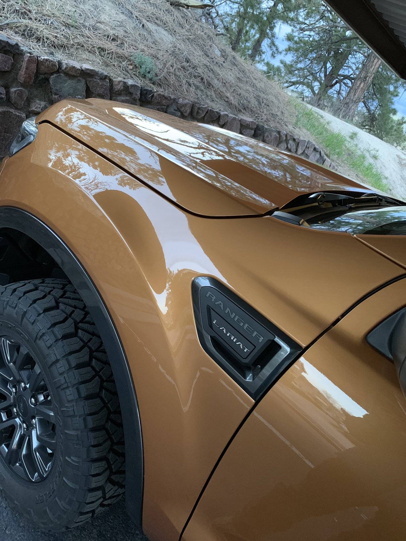 Ford Ranger Wax/Paint Protection DCC43F52-A7D6-4315-868D-FBF4CAF09815