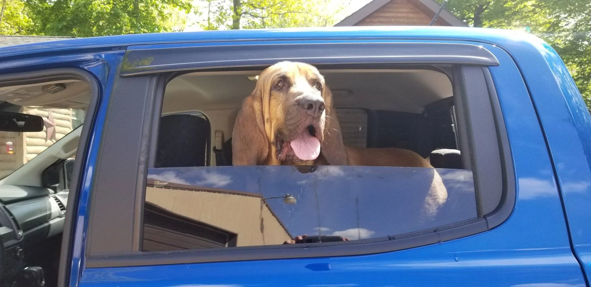 Ford Ranger 2019 Ranger's Hauling Things Thread 20190514_155155