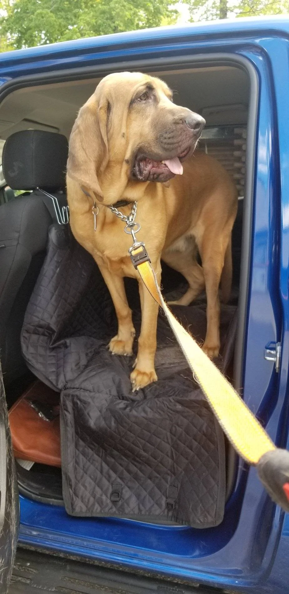 Ford Ranger 2019 Ranger's Hauling Things Thread 20190514_155517