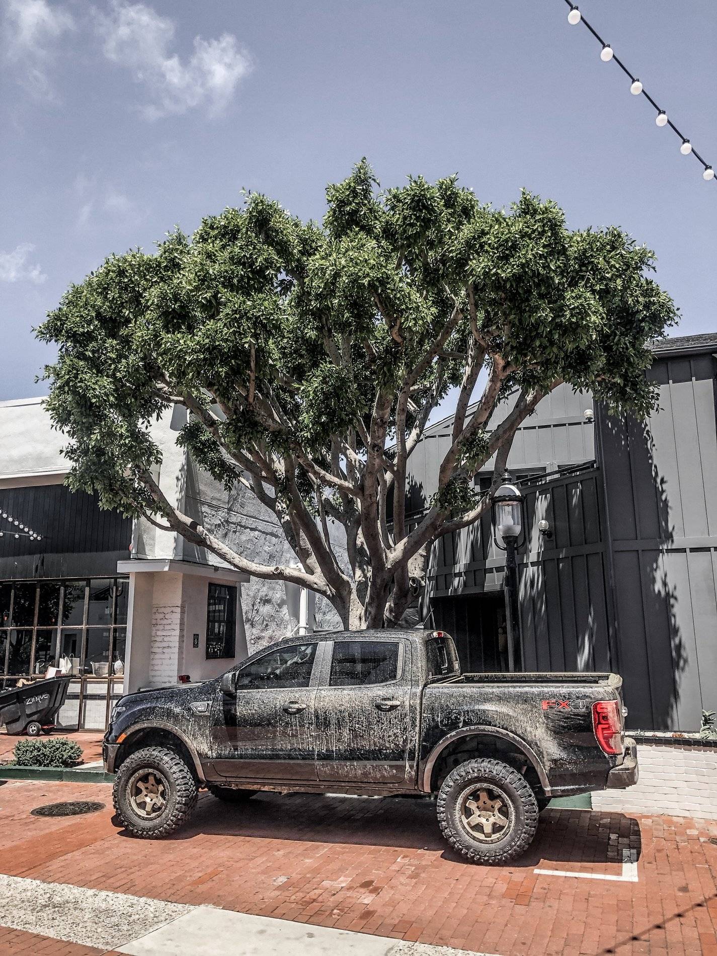 Ford Ranger SHADOW BLACK Ranger Club Thread CBD163CB-CA35-49CF-A927-E8DED18B00E3