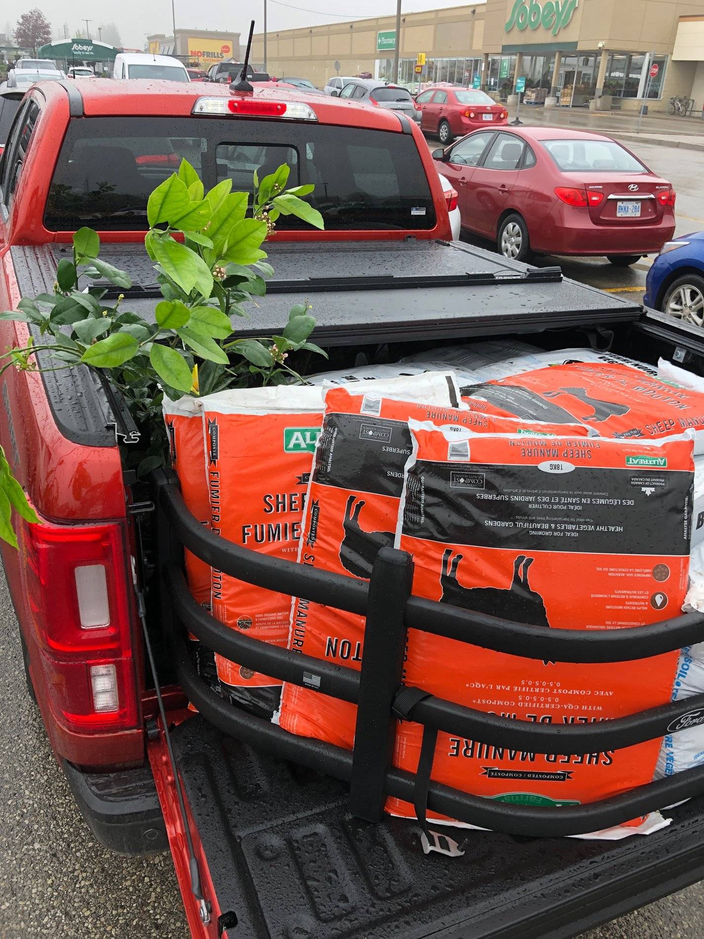 Ford Ranger 2019 Ranger's Hauling Things Thread IMG_6262