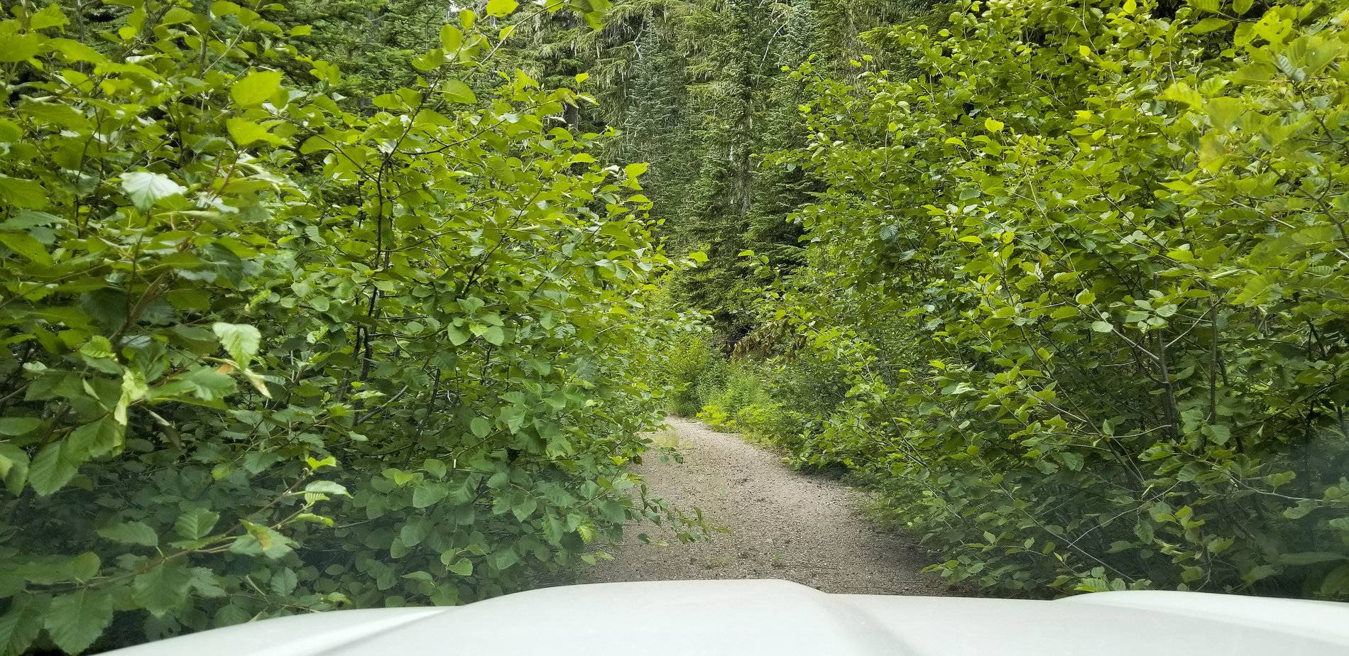 Ford Ranger WHITE PLATINUM Ranger Club Thread 20190727_152251