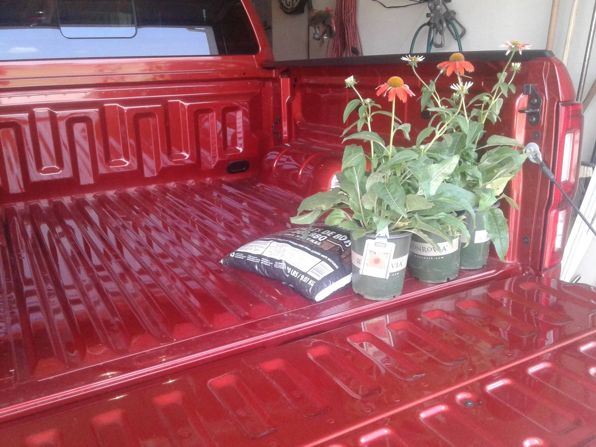Ford Ranger 2019 Ranger's Hauling Things Thread 20190818_144945