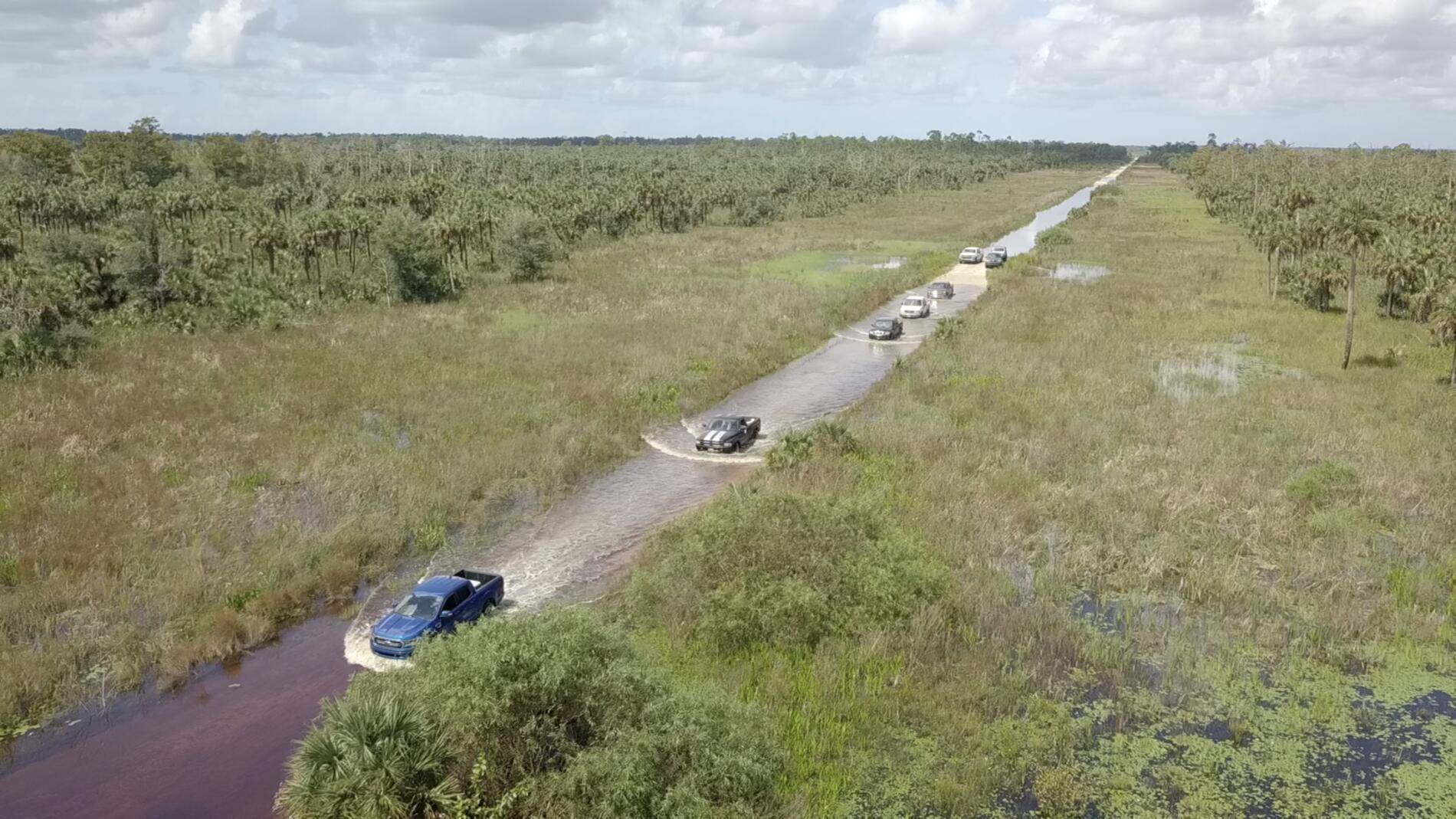 Ford Ranger Out in the swamps 059F18EF-FA87-4D85-9DFA-8C7A4DDC1664