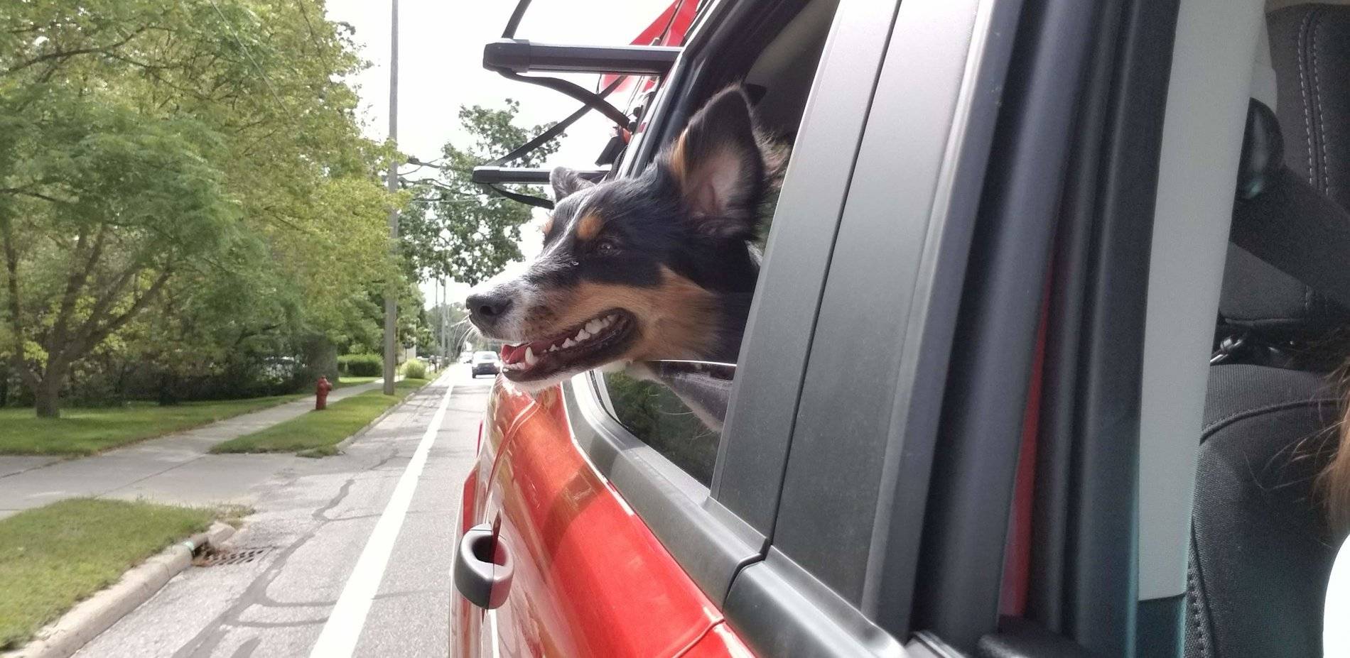 Ford Ranger WxNerd2015's Hot Pepper Red FX4 20190831_130034