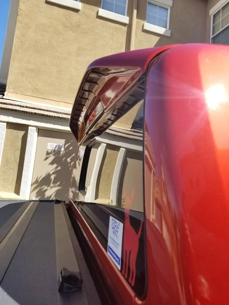 Ford Ranger HOT PEPPER RED Ranger Club Thread 2929B2CB-E103-4E61-9BAD-83381FF6AD5A