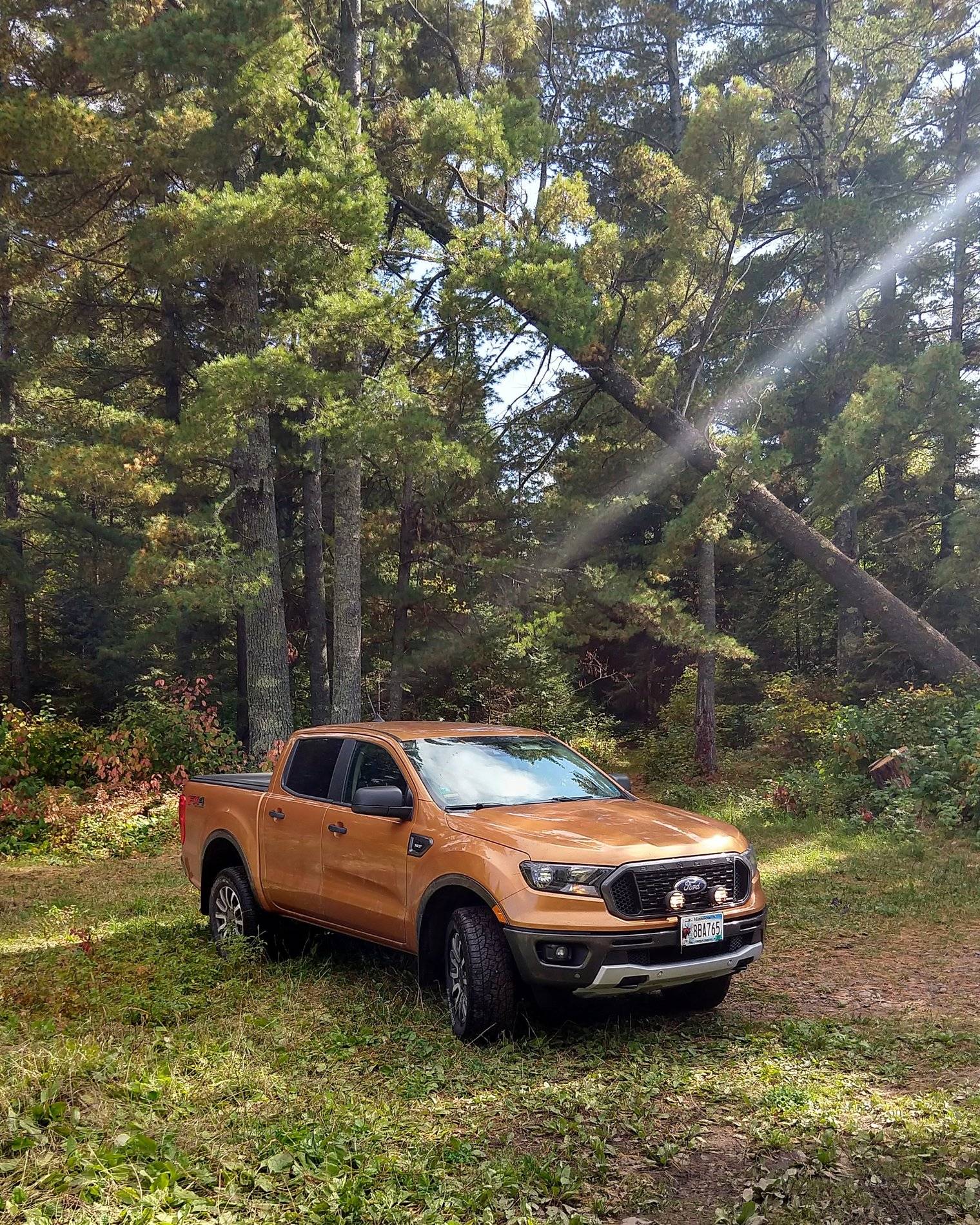 Ford Ranger SABER Ranger Club Thread IMG_20190920_151541_627