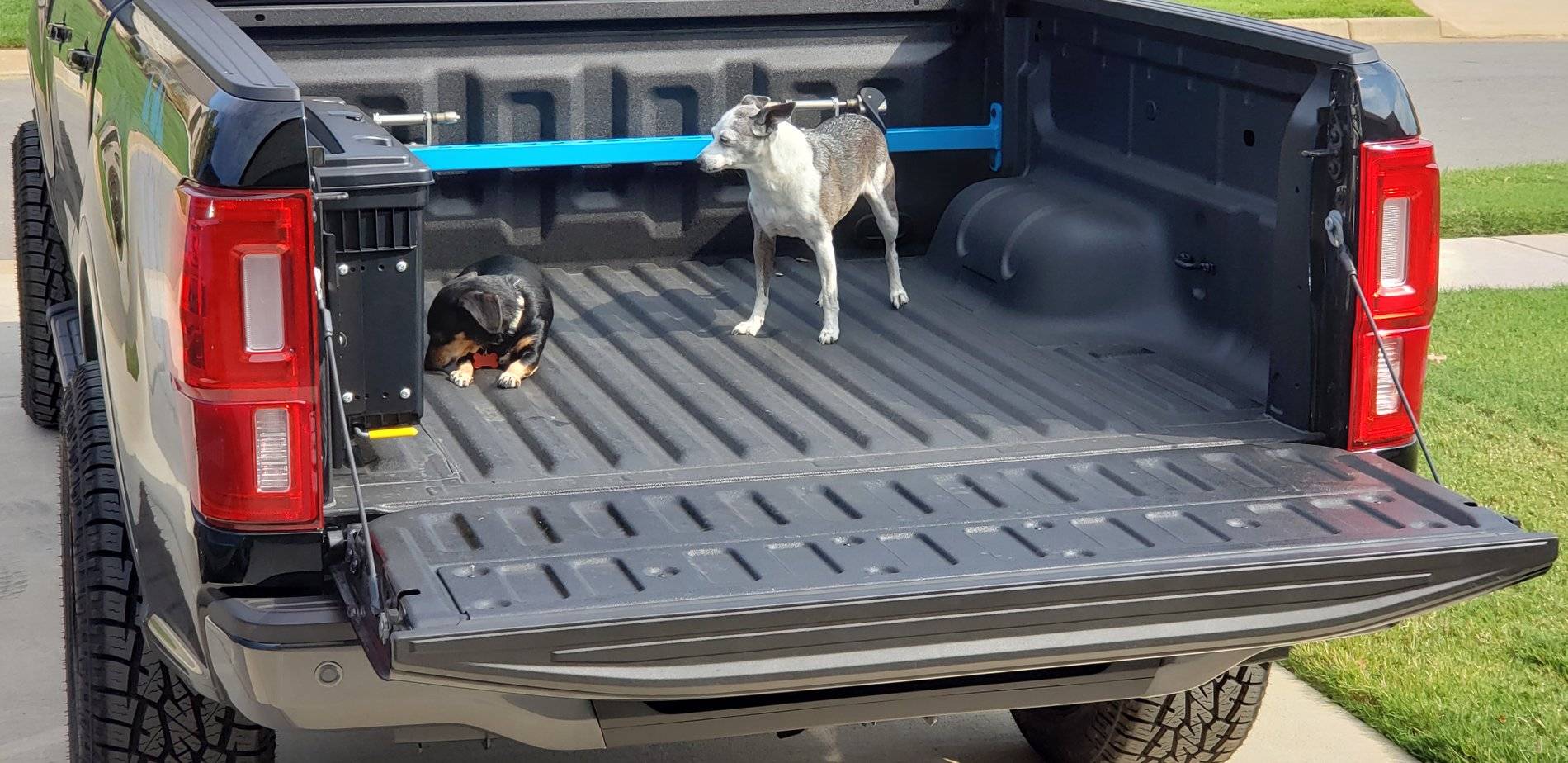 Ford Ranger 2019 Ranger's Hauling Things Thread 20191005_104547