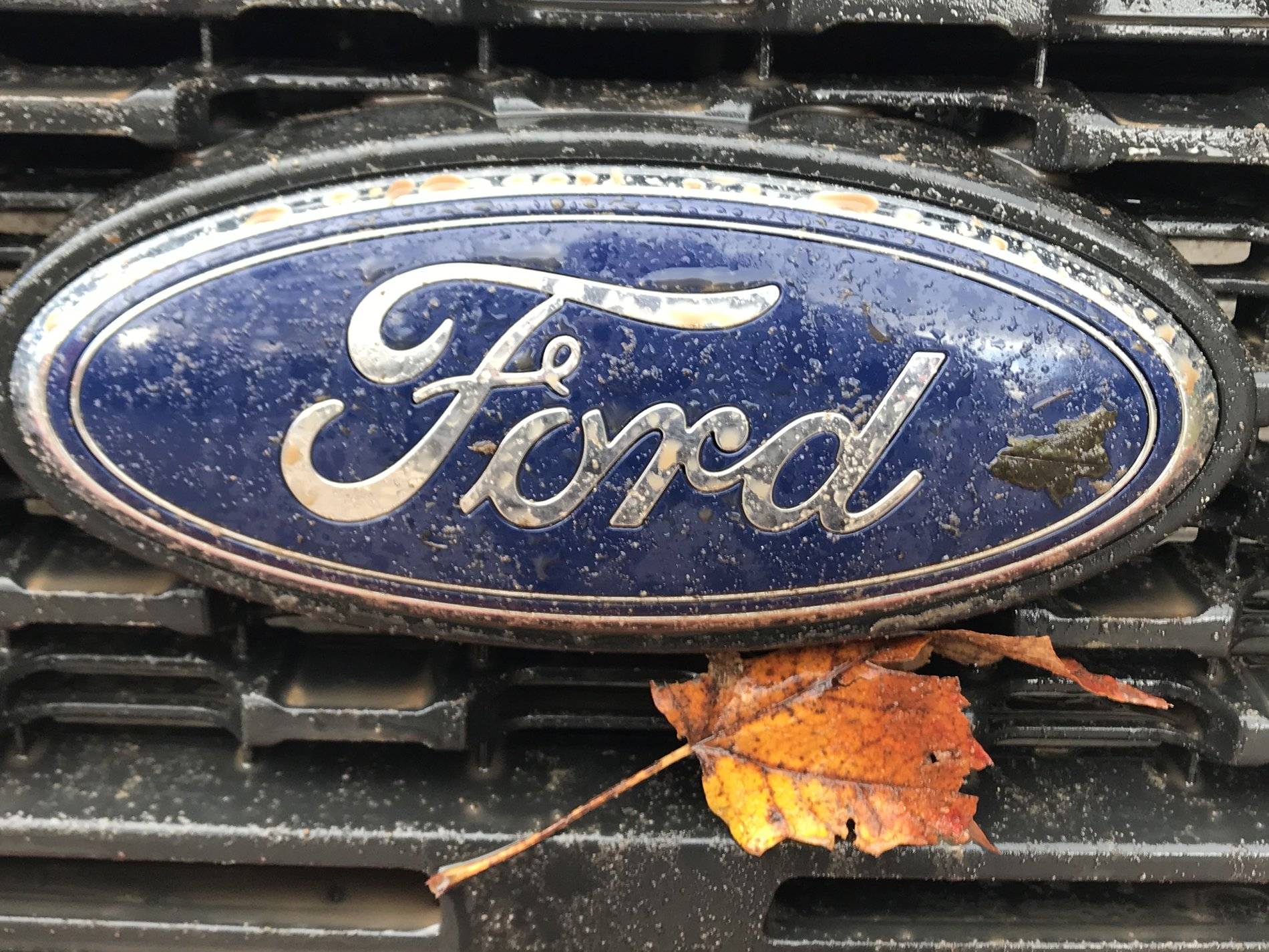 Ford Ranger WxNerd2015's Hot Pepper Red FX4 IMG_2174