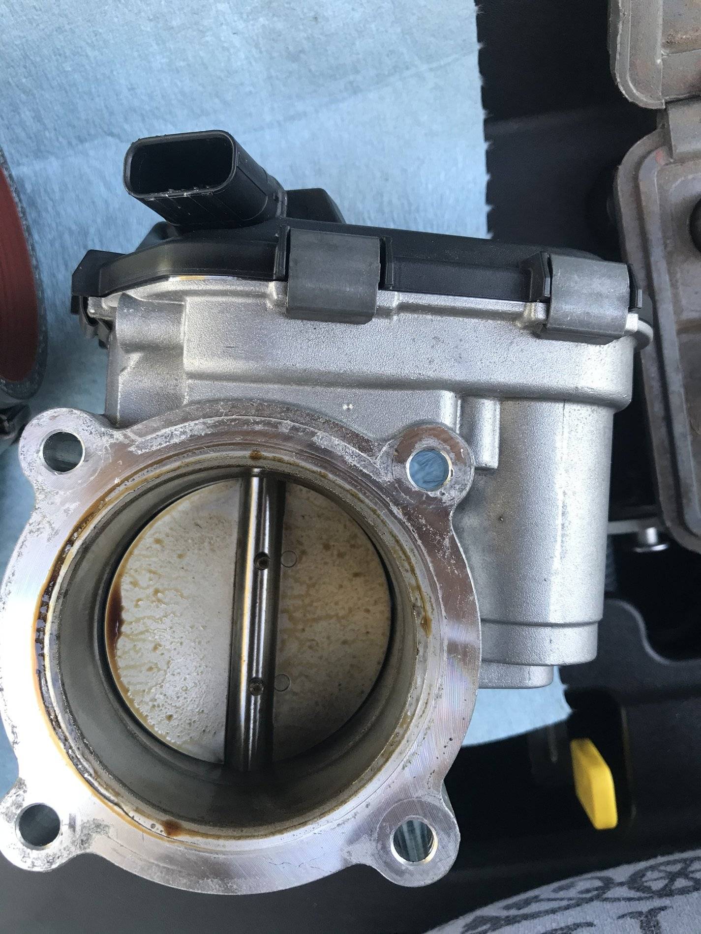 Ford Ranger Oil Catch Can. Yes or No? 2A5E10F9-7791-4CDD-B82E-45FF95864134