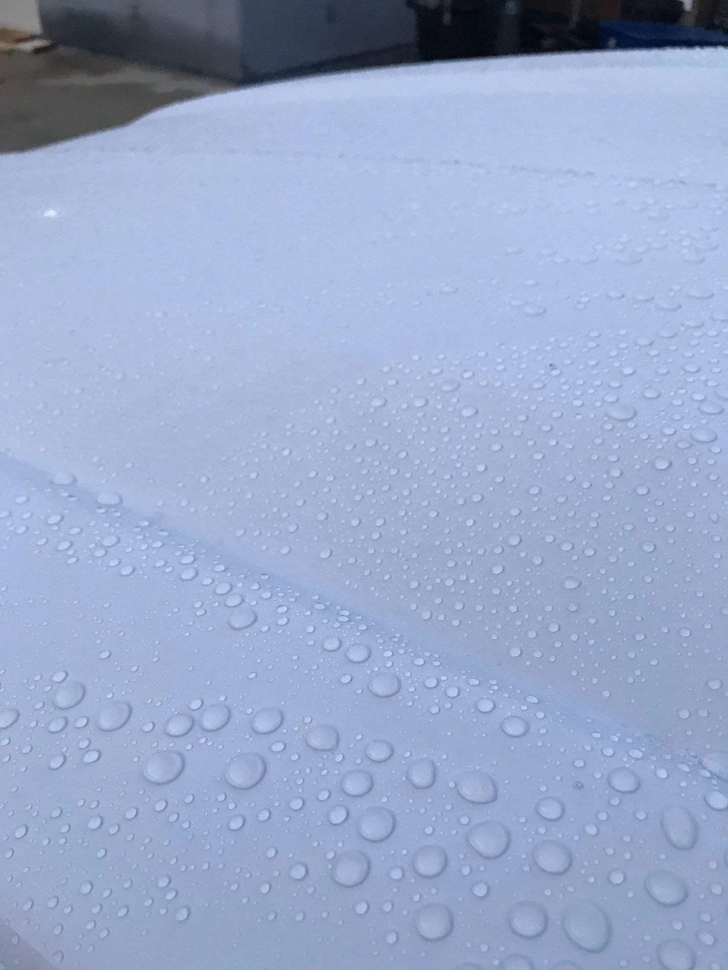 Ford Ranger Wax/Paint Protection 4C3F0059-1724-4BCC-8FC3-DA05109B62B5