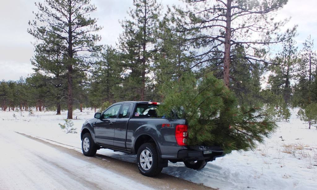 Ford Ranger 2019 Ranger's Hauling Things Thread 004.JPG