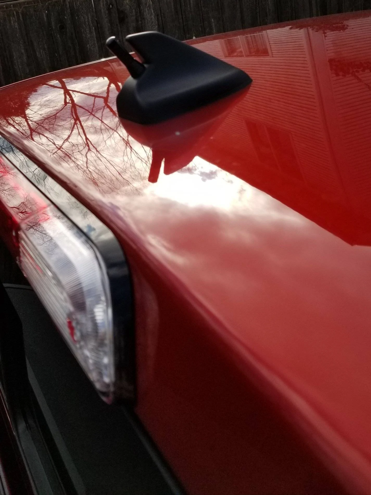 Ford Ranger Stubby AM/FM Antenna Stubby