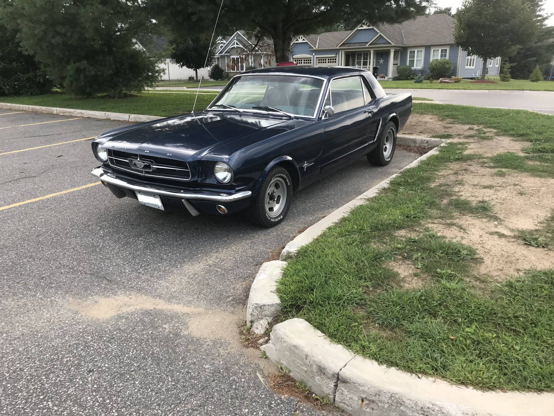 Ford Ranger Odometer shots Mustang.JPG