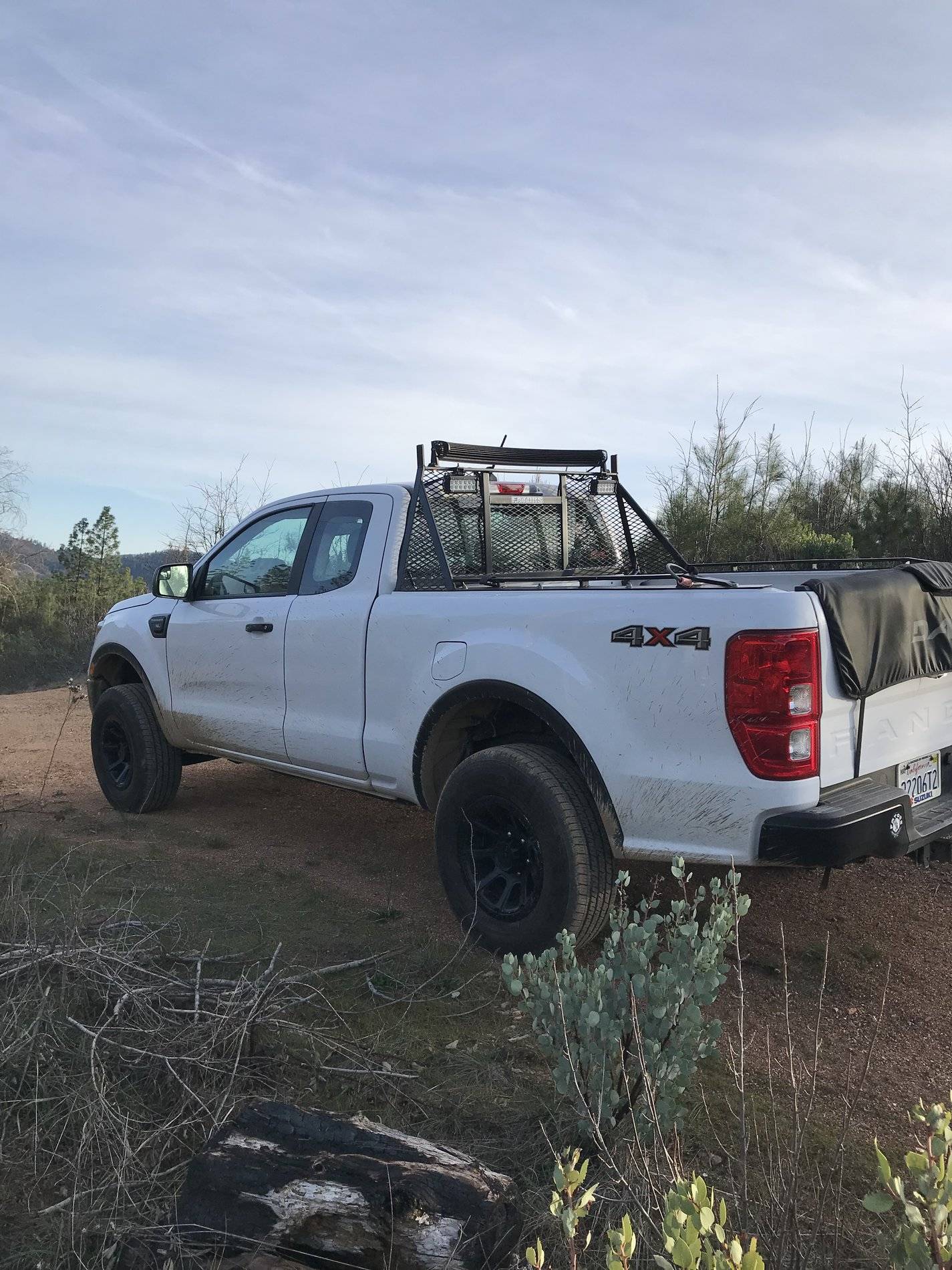 Ford Ranger No, Not Again! 8E166AED-BD39-484F-AA13-69993A628974