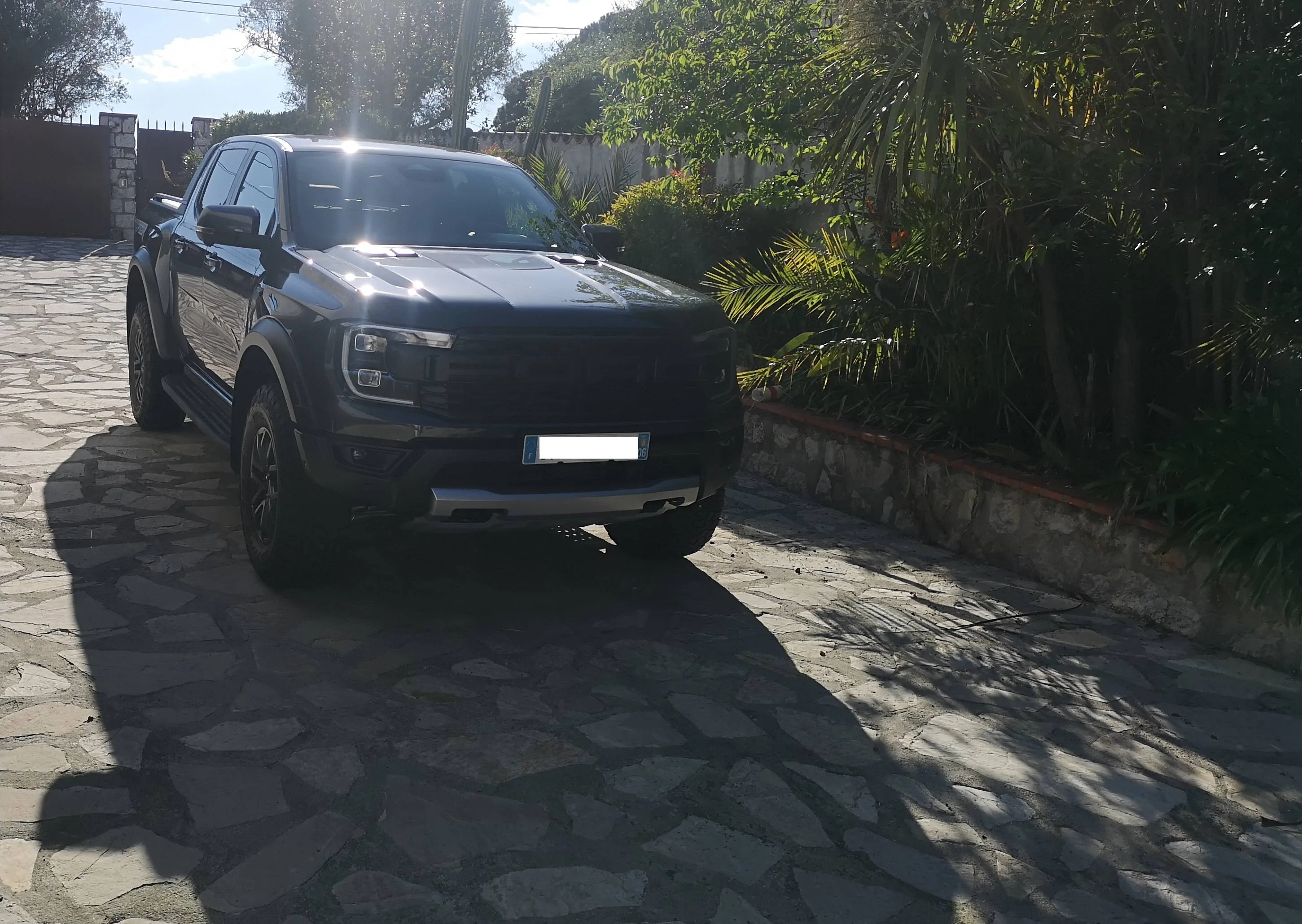 Ford Ranger Ford Ranger Raptor 6th EU unlock/chiptuning rapt