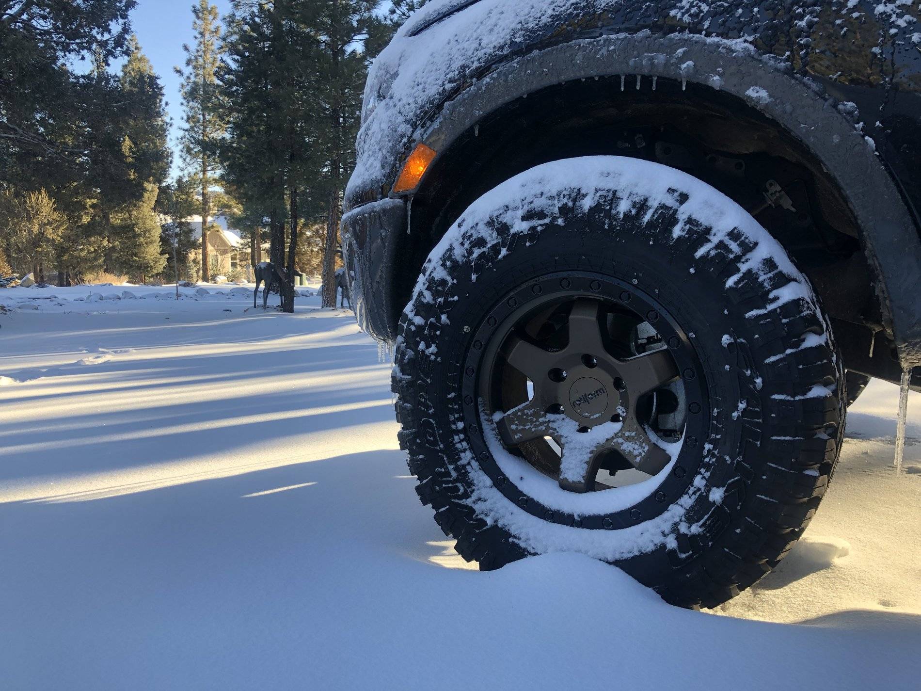 Ford Ranger The Alpha Ranger — pic heavy. C318515D-3303-44D2-9715-2C403B8DE20E