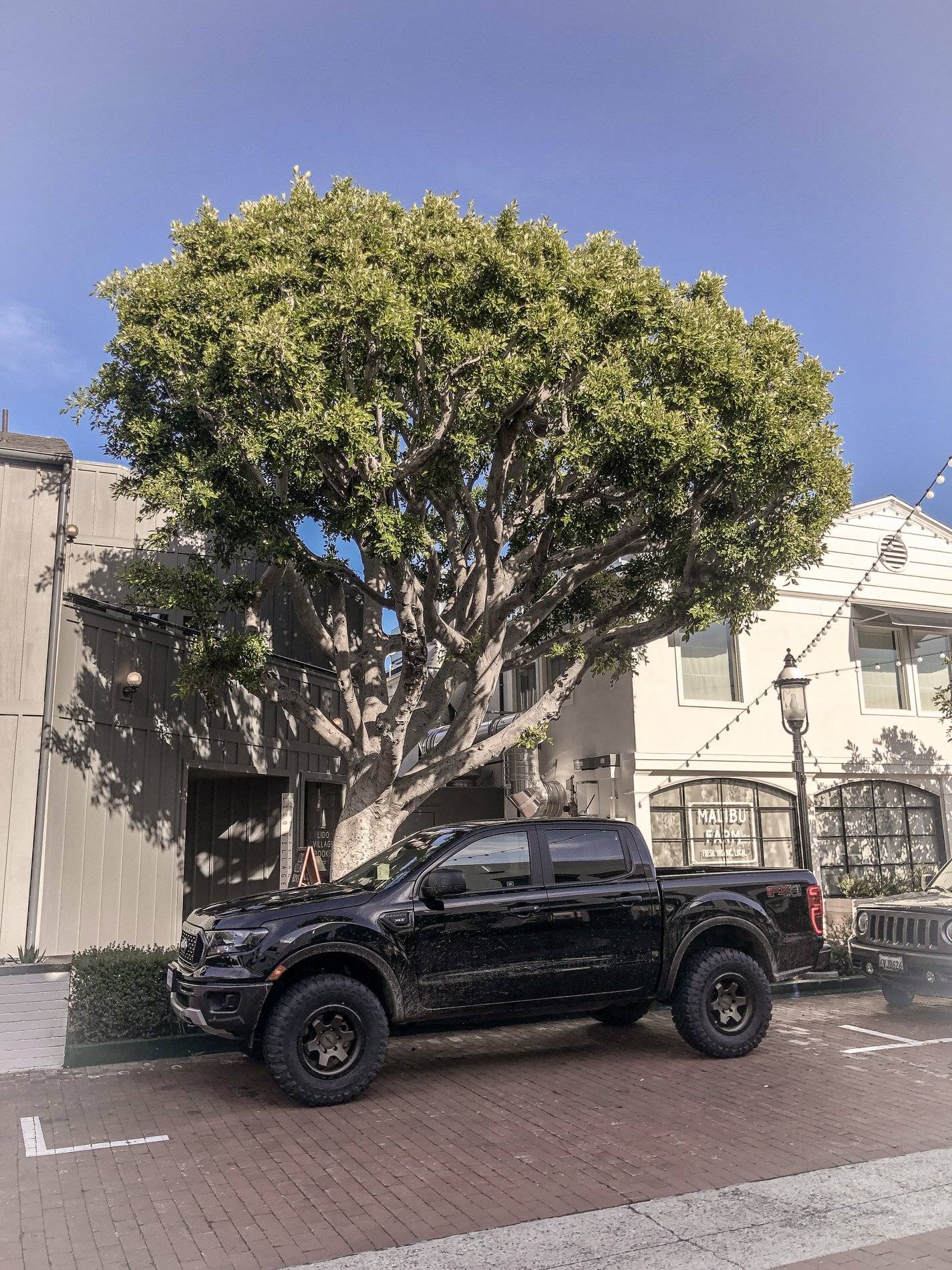 Ford Ranger The Alpha Ranger — pic heavy. ADA7E5FD-12B1-4EEC-9DFD-75ACD1768589