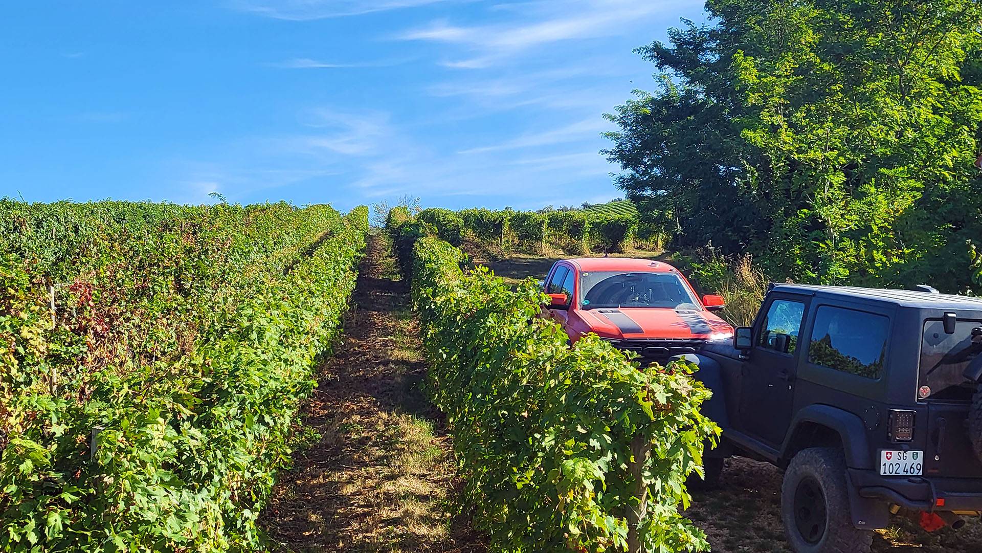 Ford Ranger New Ranger Raptor goes off-road in the Land of Wine, Cheese and Olive oil  > Italy - Verona area 20230927_104221