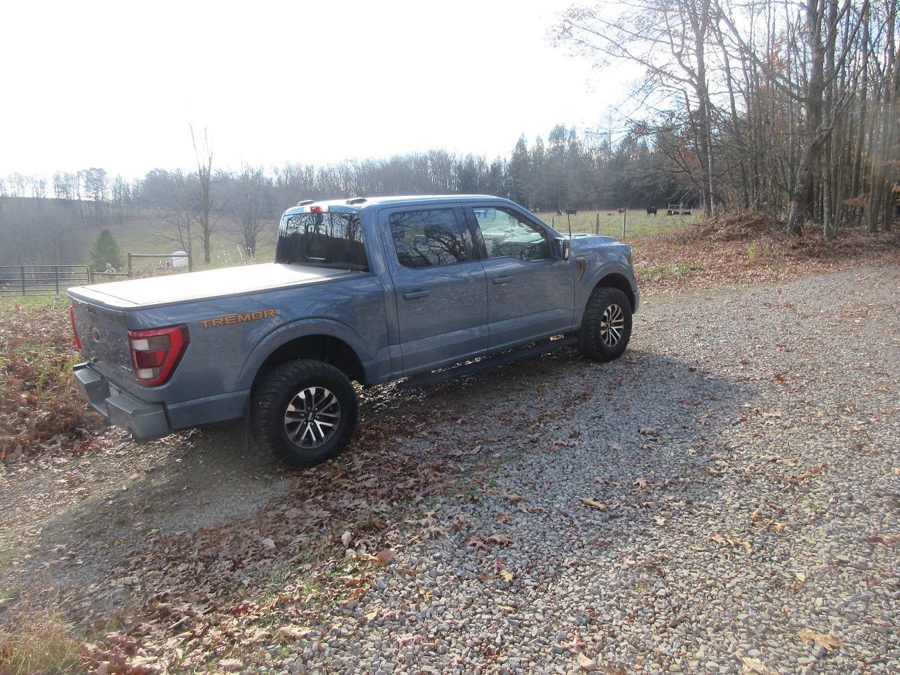 Ford Ranger Sorry Y’all IMG_8013