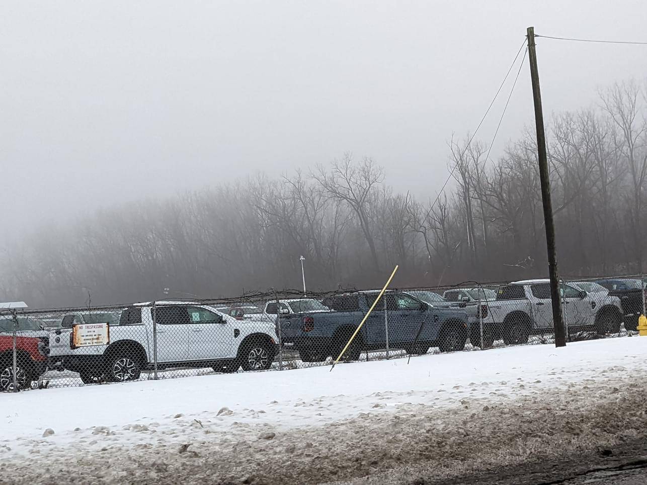 IMG_3478.jpeg