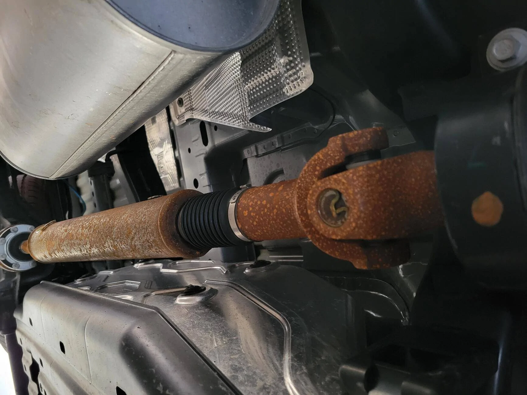 Ford Ranger Make sure you check underneath 1711917929847-ao