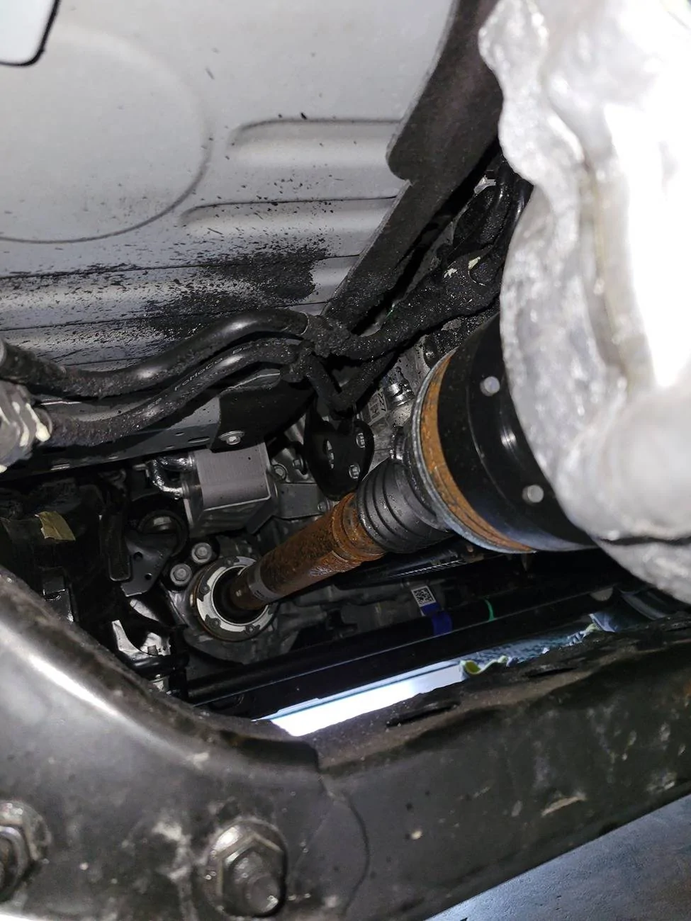 Ford Ranger Make sure you check underneath 20240331_183658