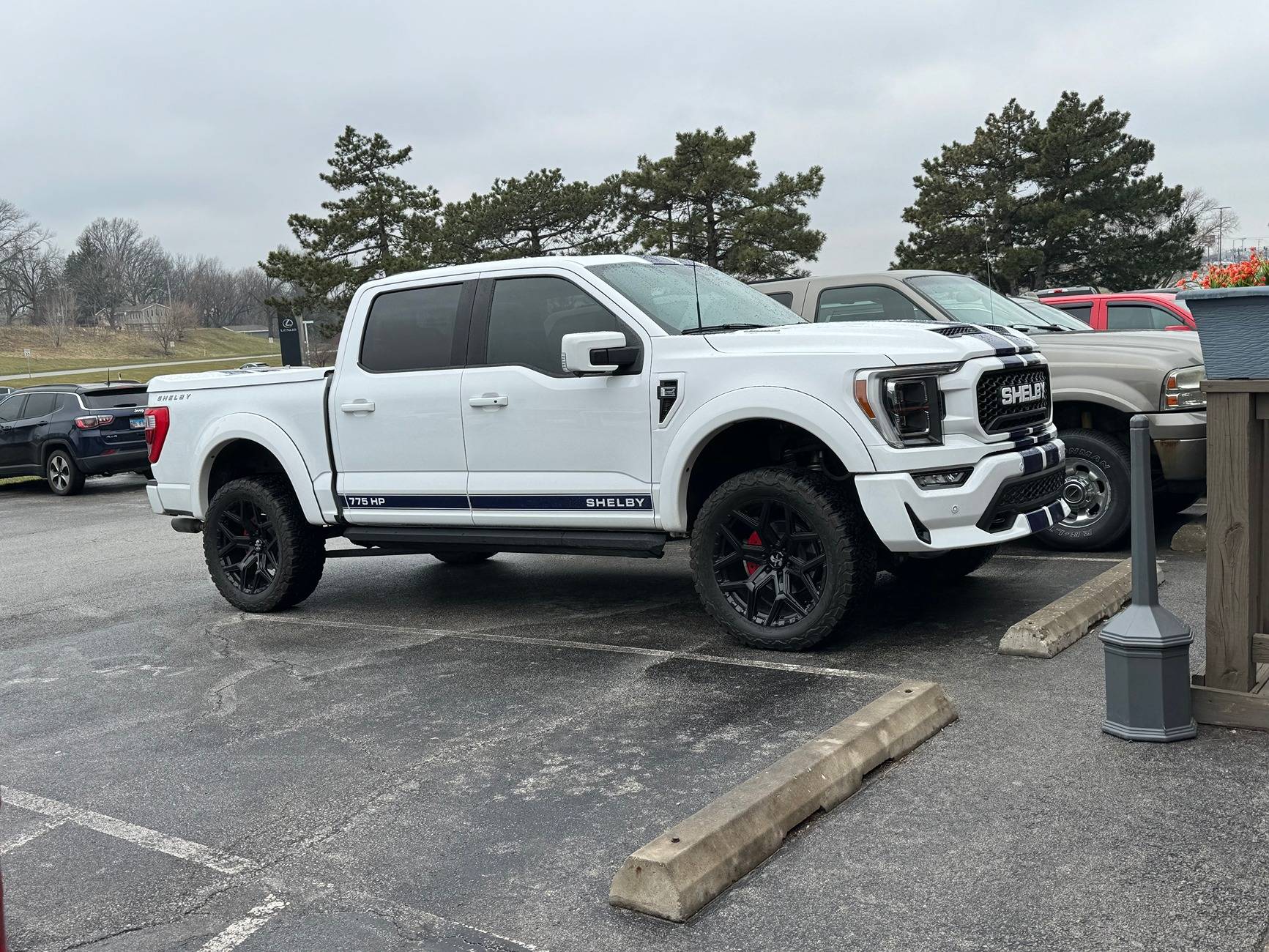 Ford Ranger Decal package - feedback? shelby