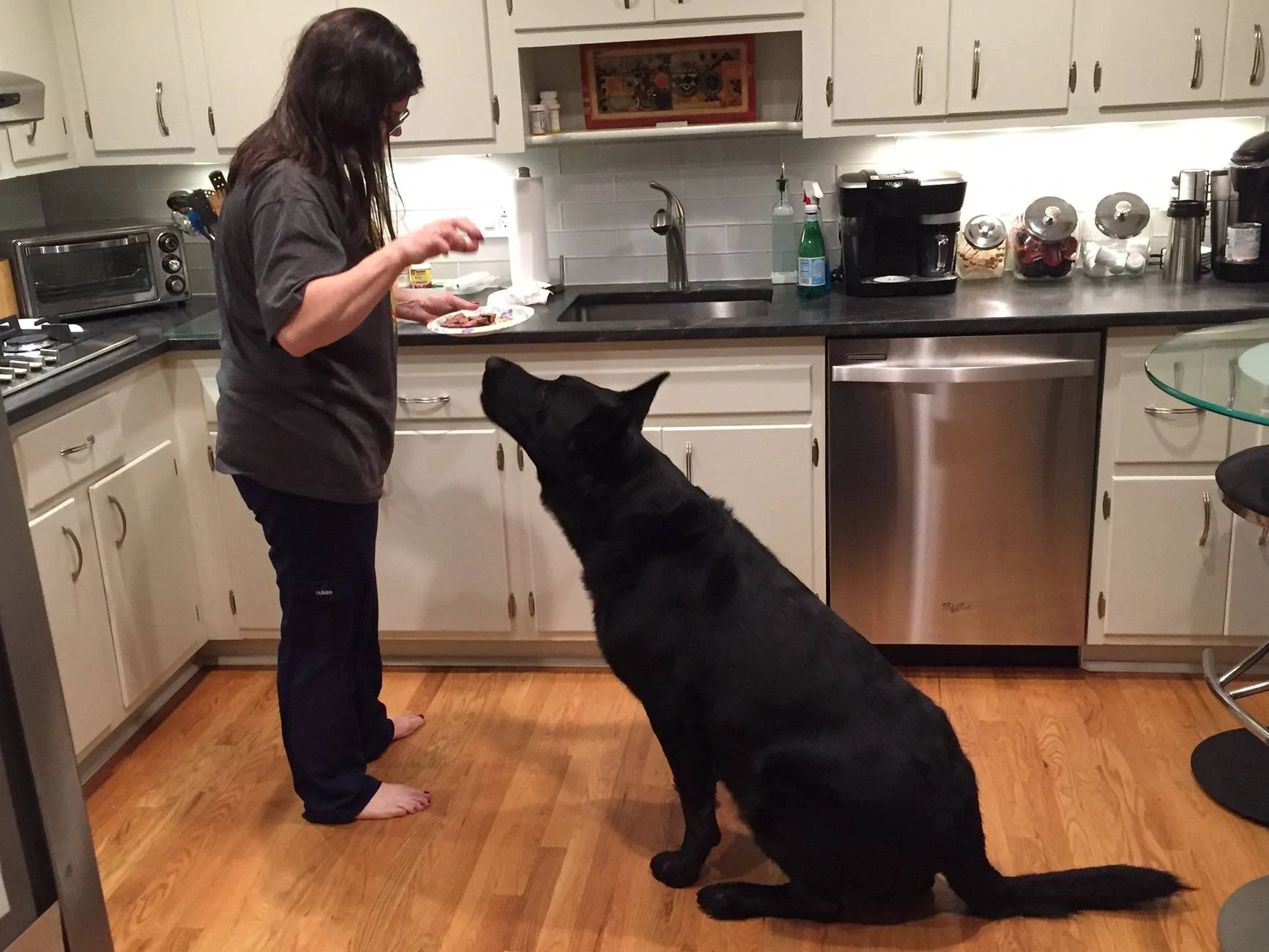 Cyrus in kitchen.webp