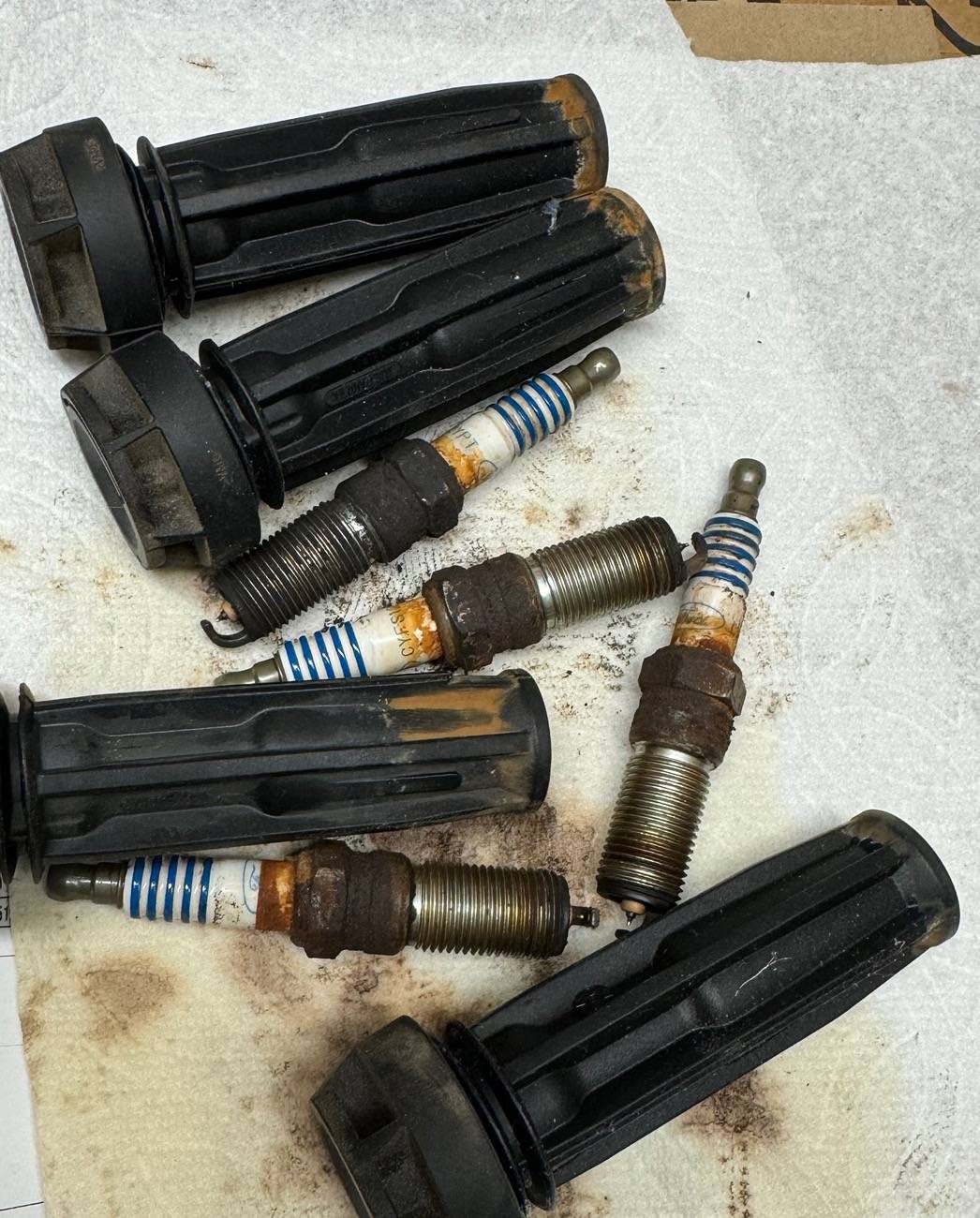 Ford Ranger I am still shocked at this water intrusion to the spark plug wells IMG_0341