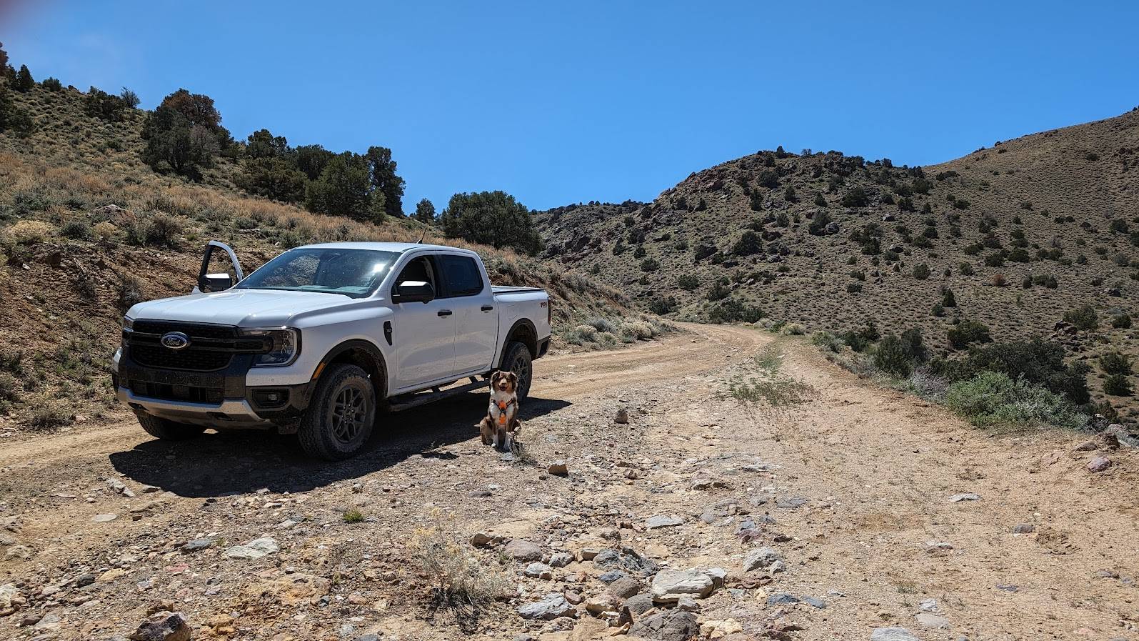 Ford Ranger My Ranger Raptor Off Roading Pics… PXL_20240418_201941965