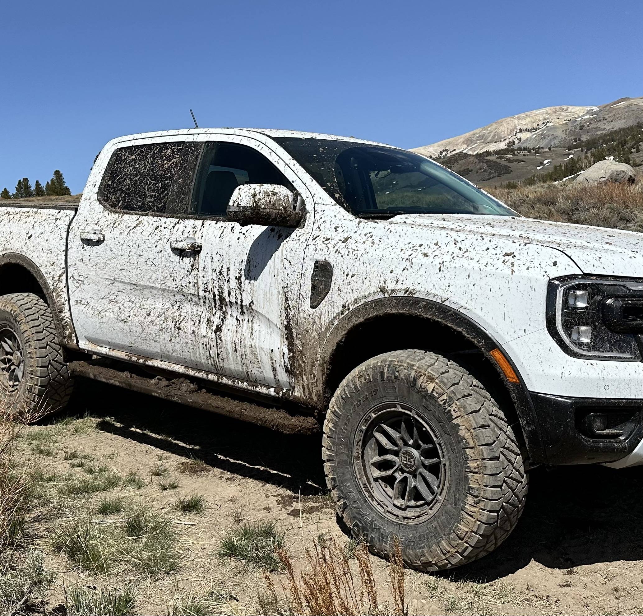 Ford Ranger 34" Tires and Forscan for tire diameter change works on the 2024 Ranger Lariat! IMG_0953