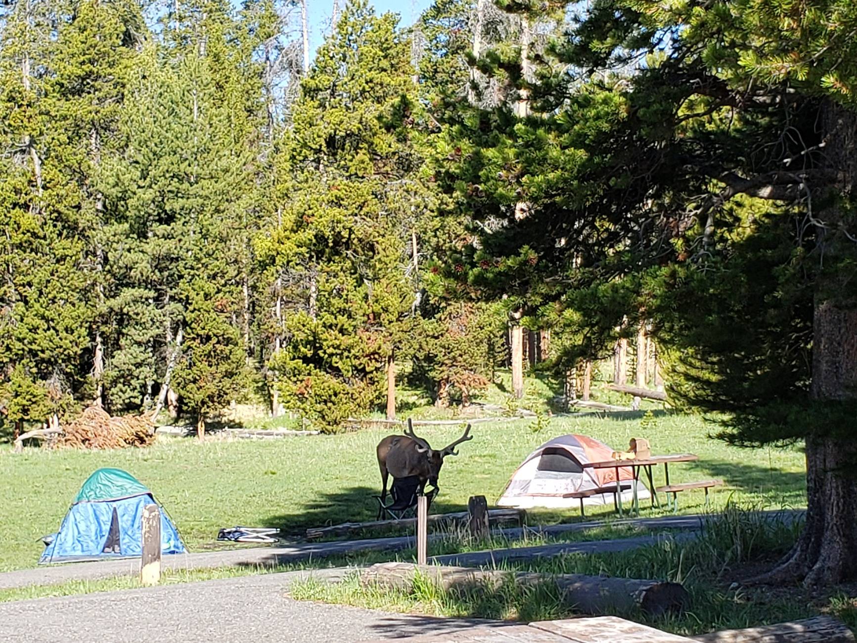 Ford Ranger Photos: Post your rig in epic camp sites! 20240611_084901