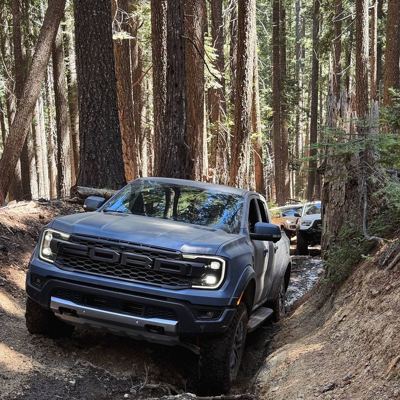 Ford Ranger Beer.Raptor does Poker flats trail 6C9AEBA2-AF0A-46F1-B481-37CA39D7676F