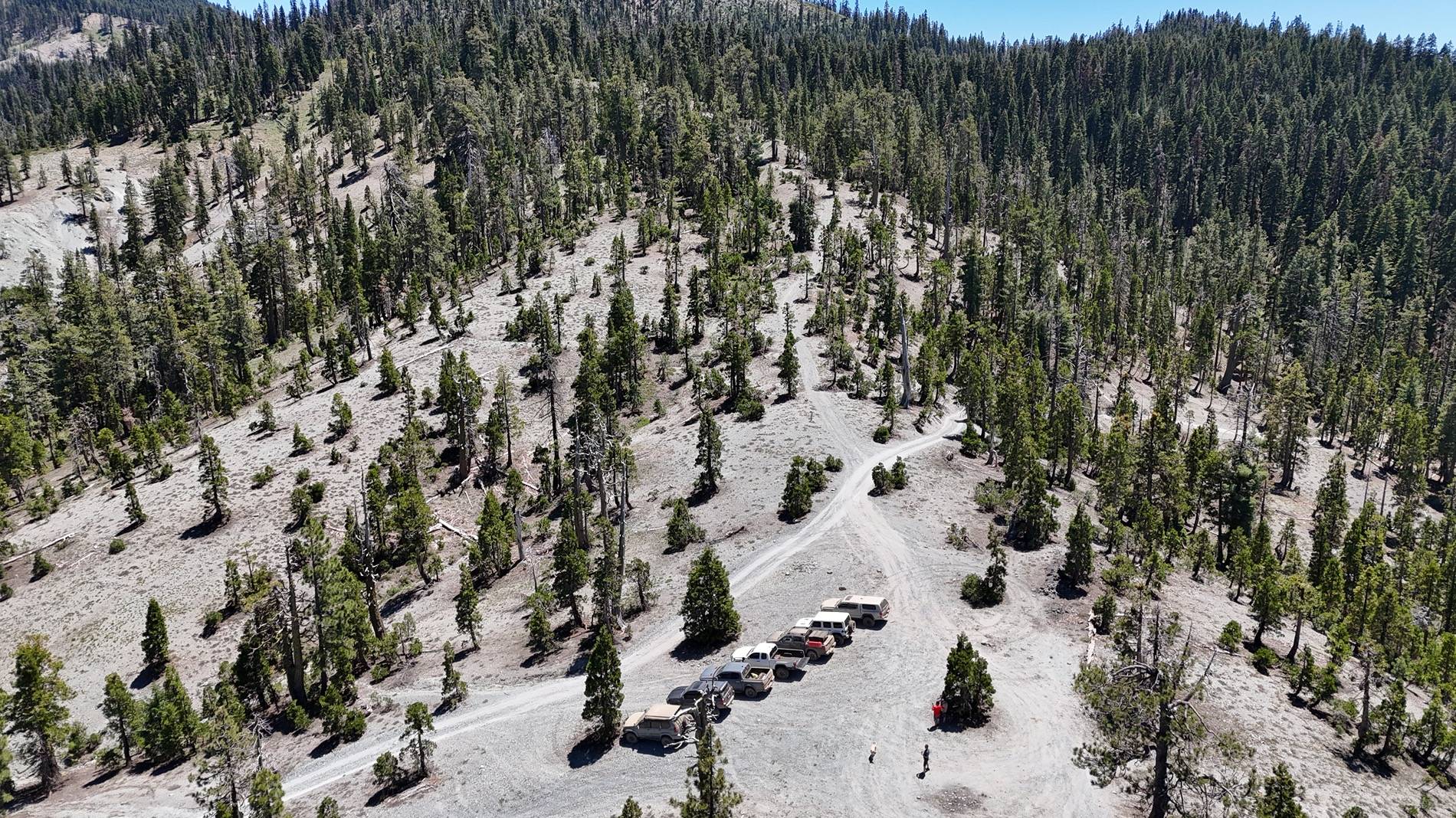 Ford Ranger Beer.Raptor does Poker flats trail DJI_20240629135446_0071_D
