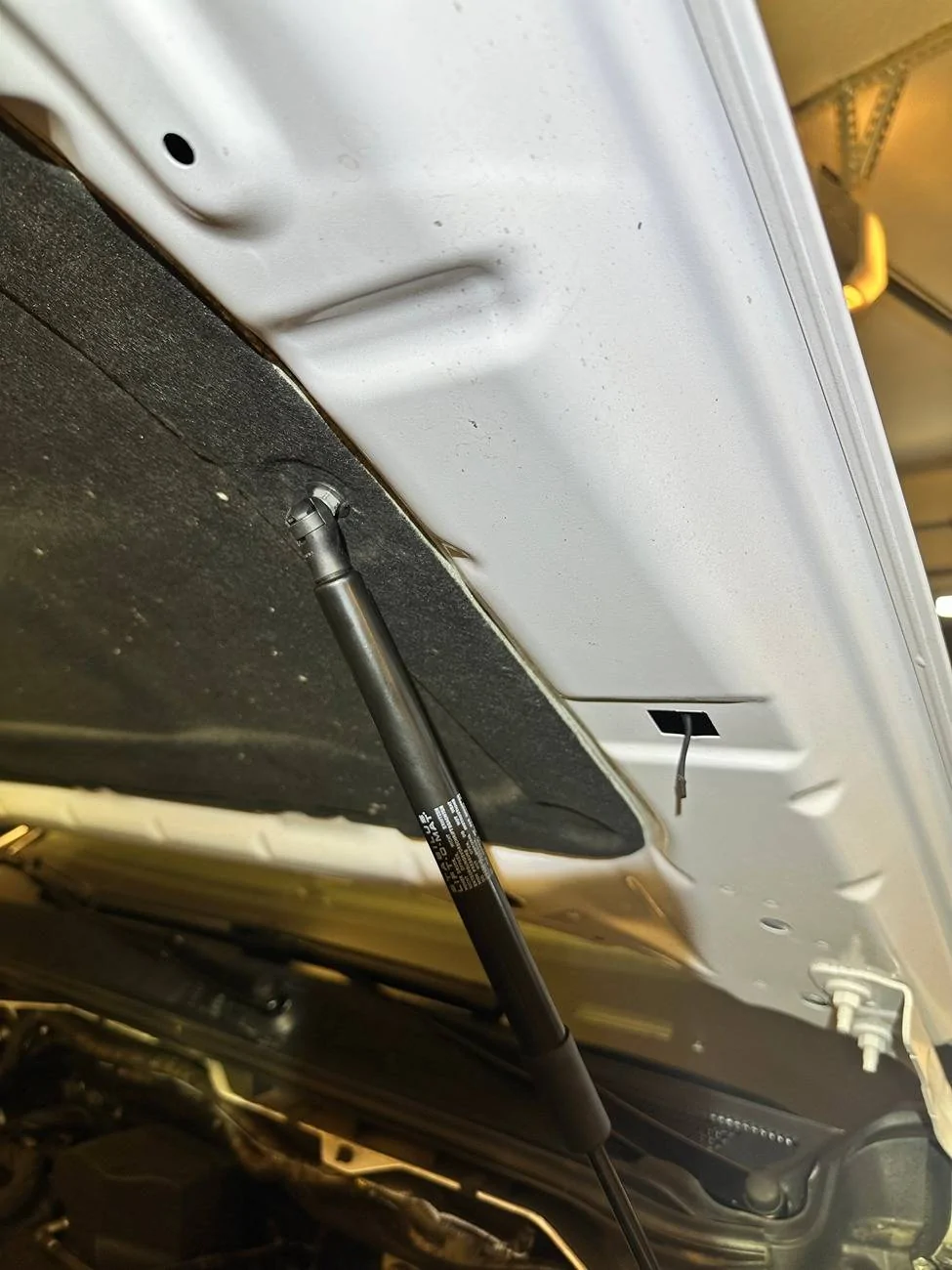 Ford Ranger RIVAL Aluminum Bumper for Ranger Raptor IMG_1073