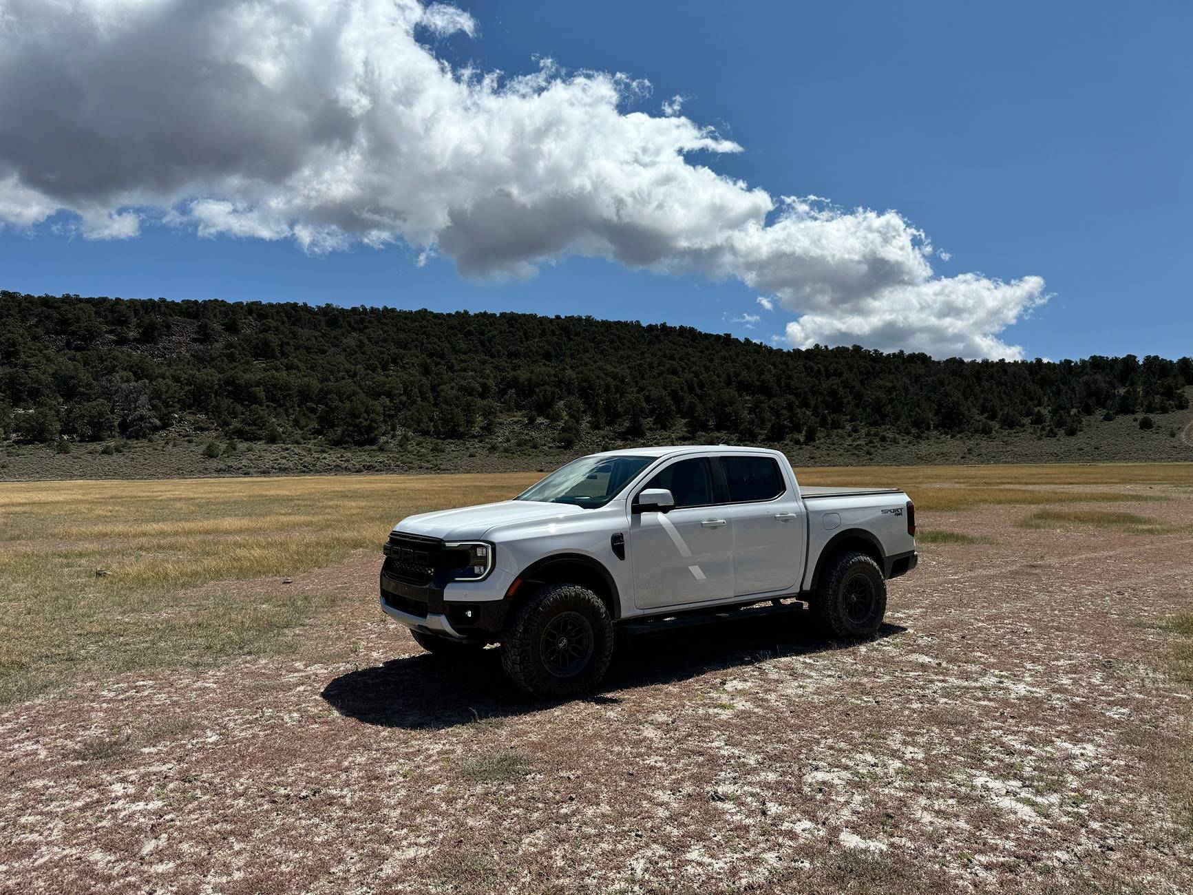 Ford Ranger Show your latest Ranger & Ranger Raptor pics! 🤳 IMG_0048.JPG