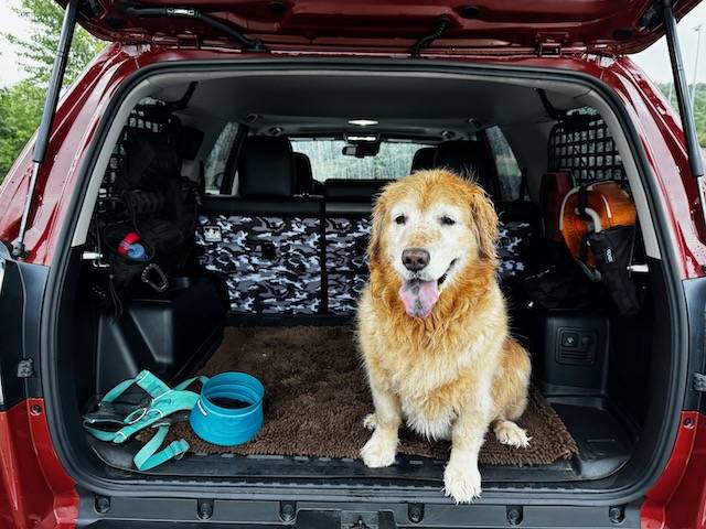 Ford Ranger Rear back seat down for dog question IMG_9422