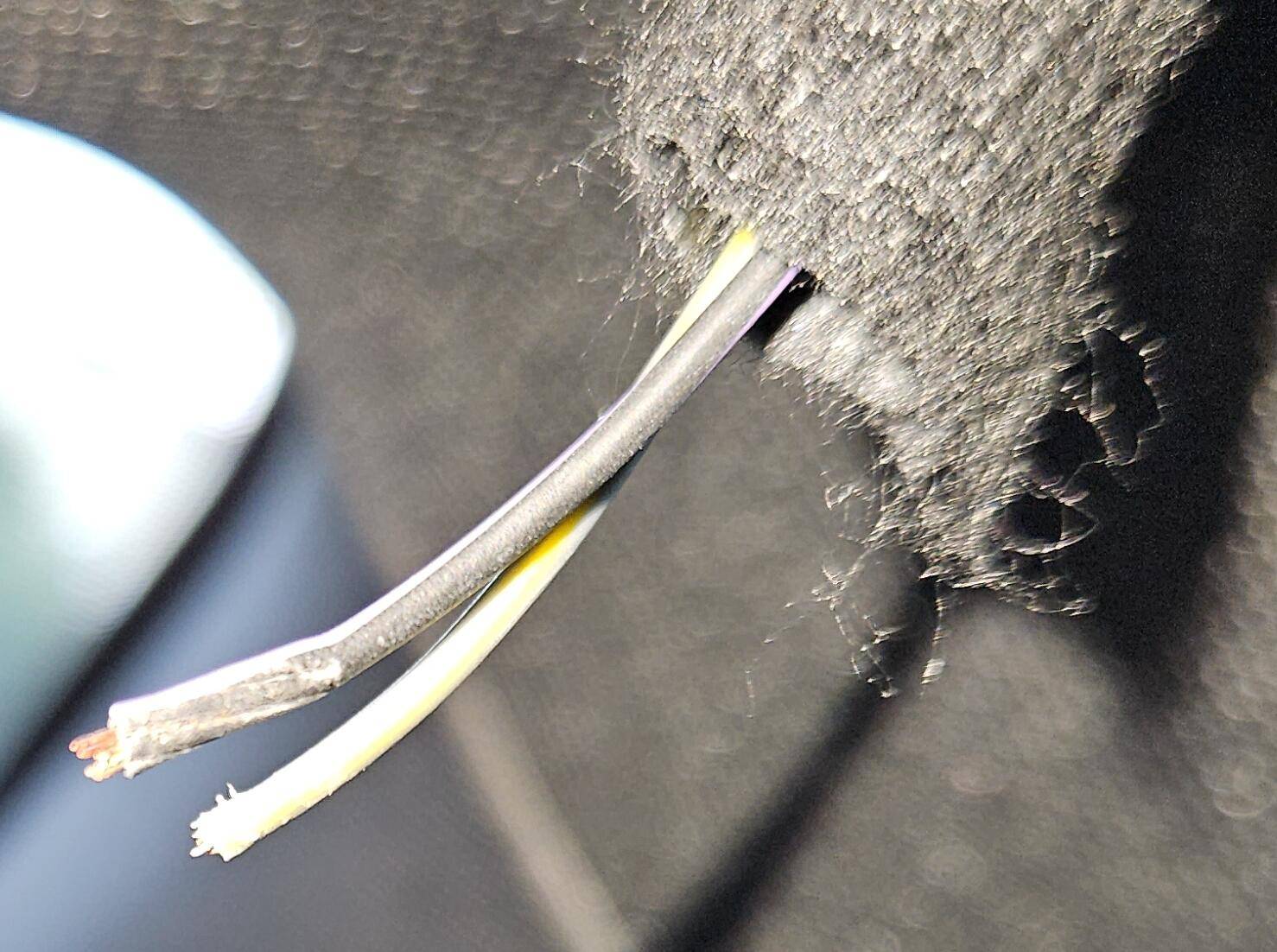bare wires.jpg