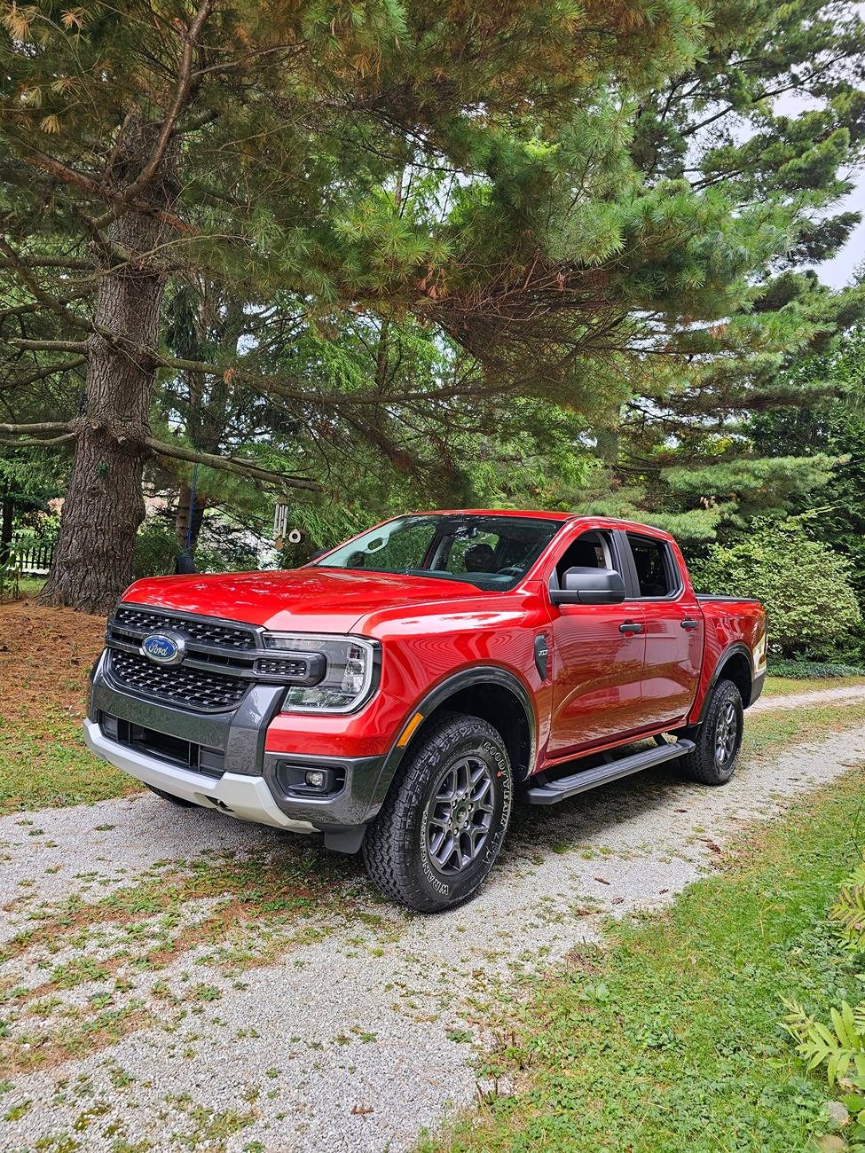 Ford Ranger Took Delivery! 1000012386