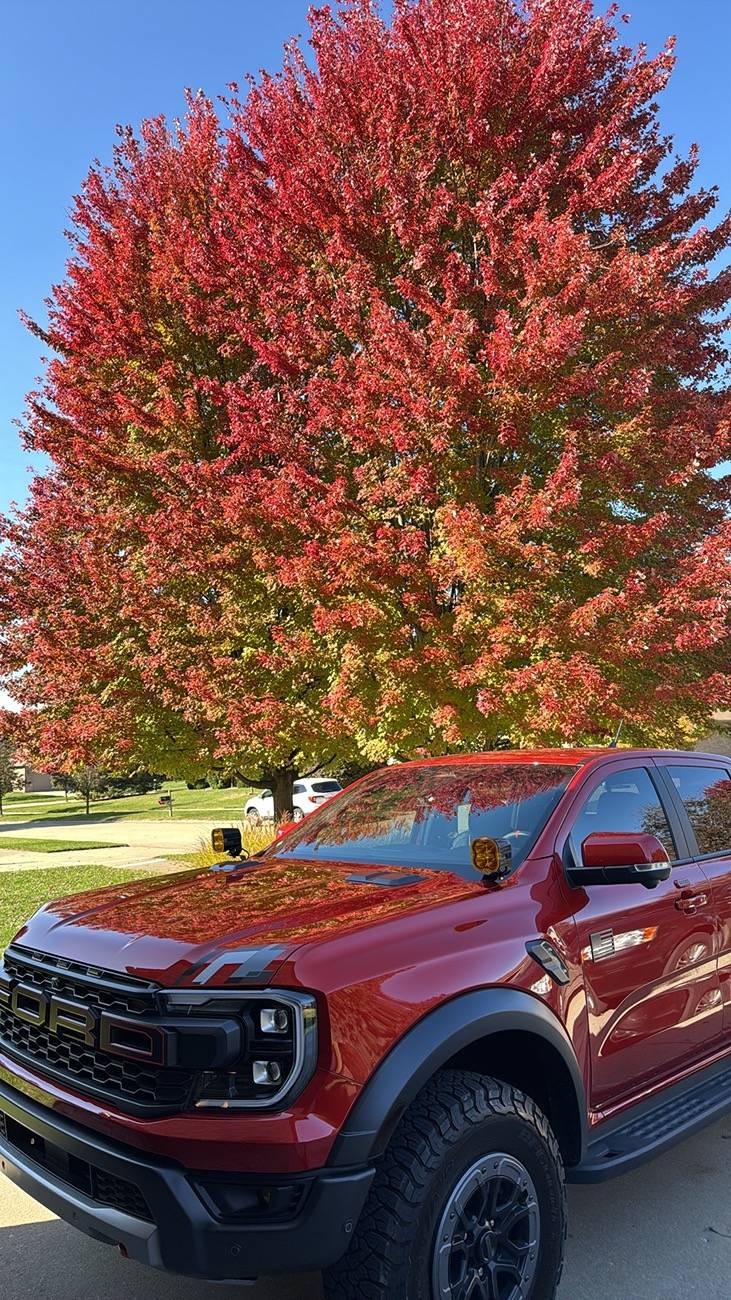 Ford Ranger Show your latest Ranger & Ranger Raptor pics! 🤳 IMG_0228