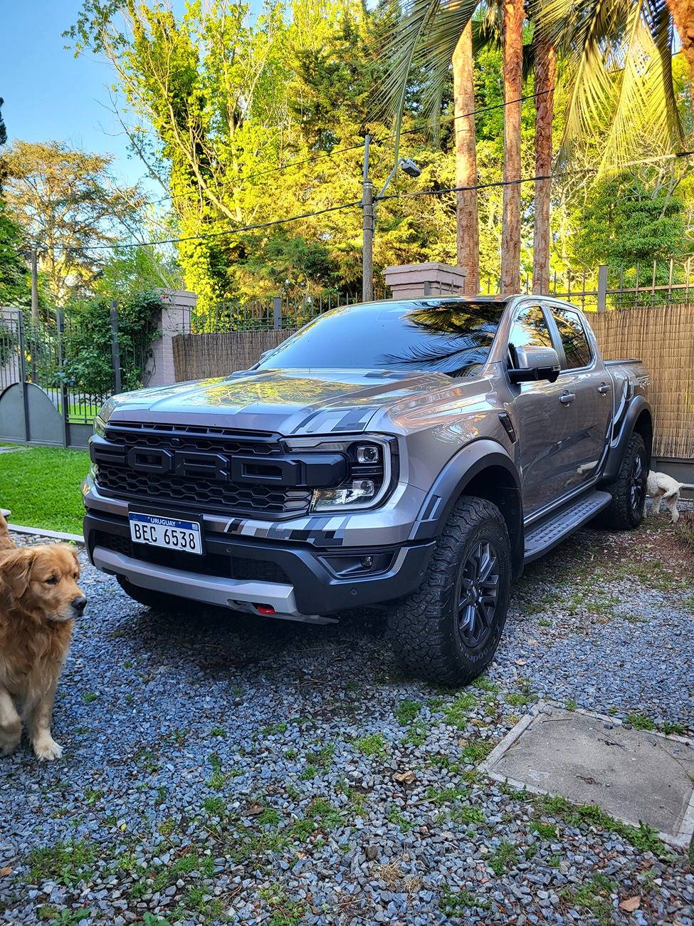 Ford Ranger Show your latest Ranger & Ranger Raptor pics! 🤳 1000118932