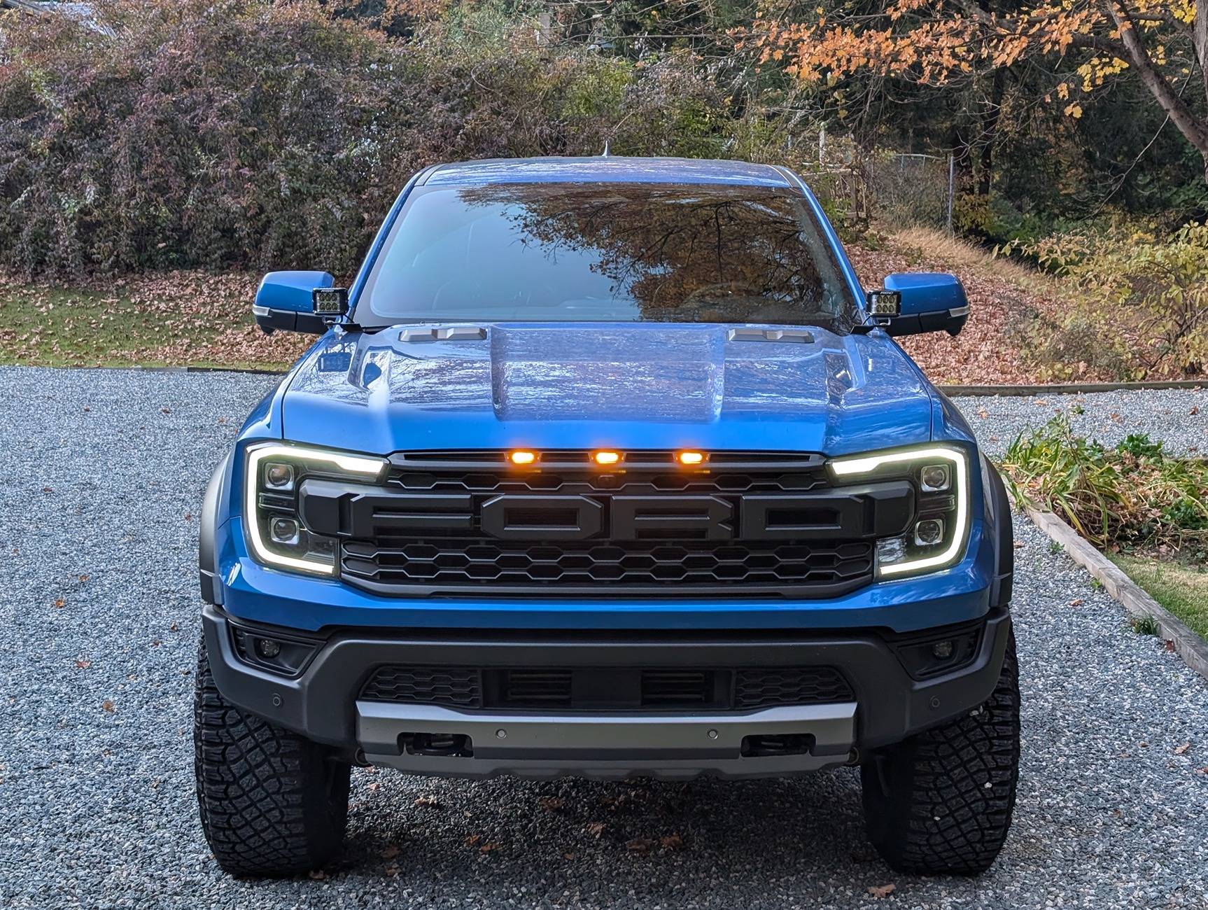 Ford Ranger Who makes Raptor lights for the grill? 1000002363