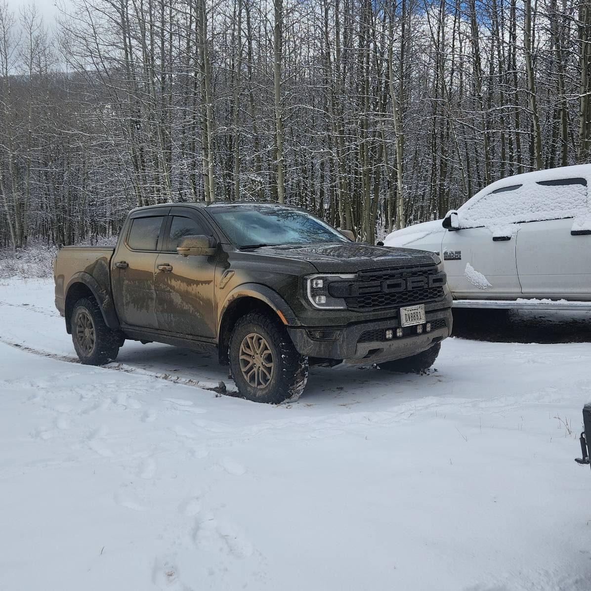 Ford Ranger Show your latest Ranger & Ranger Raptor pics! 🤳 20241029_114411