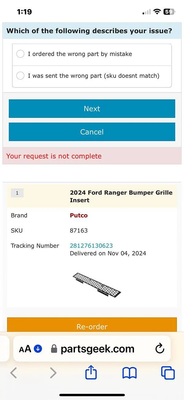 Ford Ranger Putco Ranger Grill Insert IMG_5621