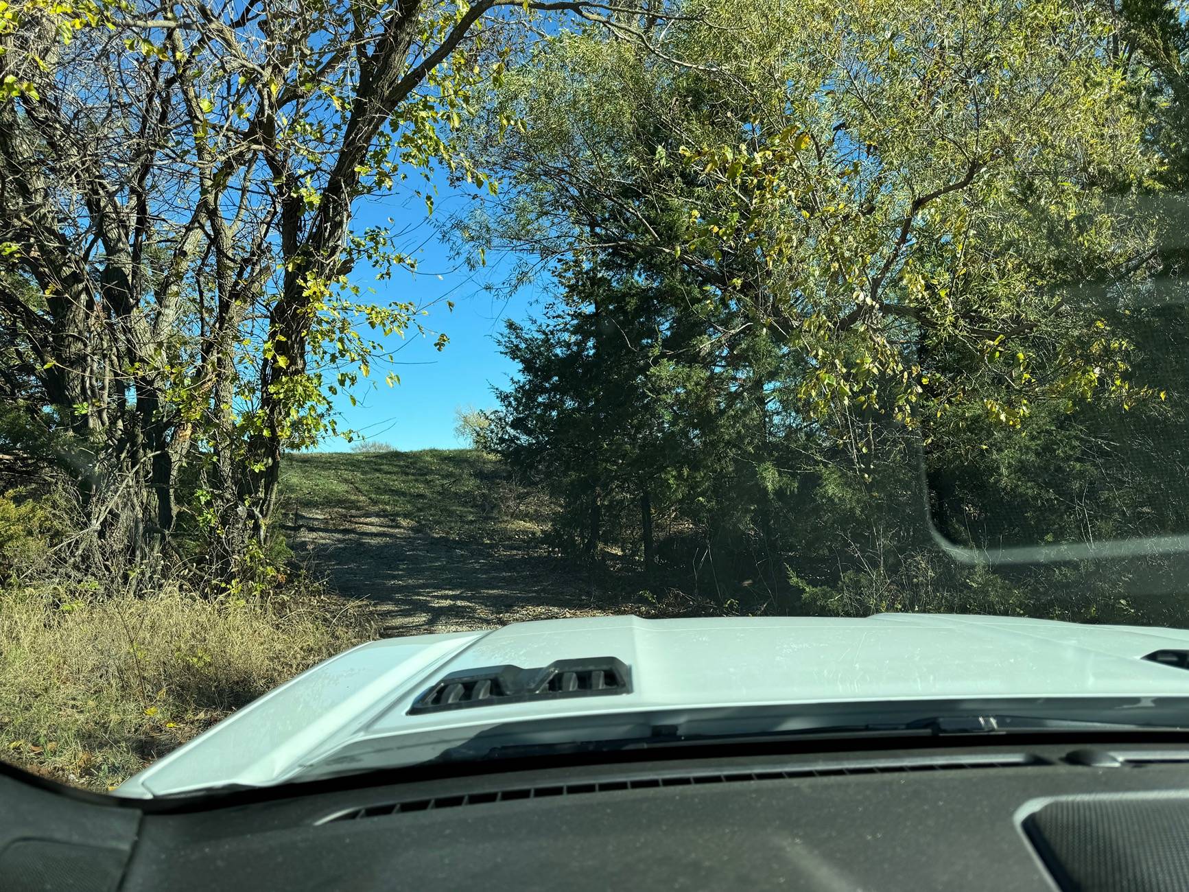 Ford Ranger Show your latest Ranger & Ranger Raptor pics! 🤳 IMG_0153