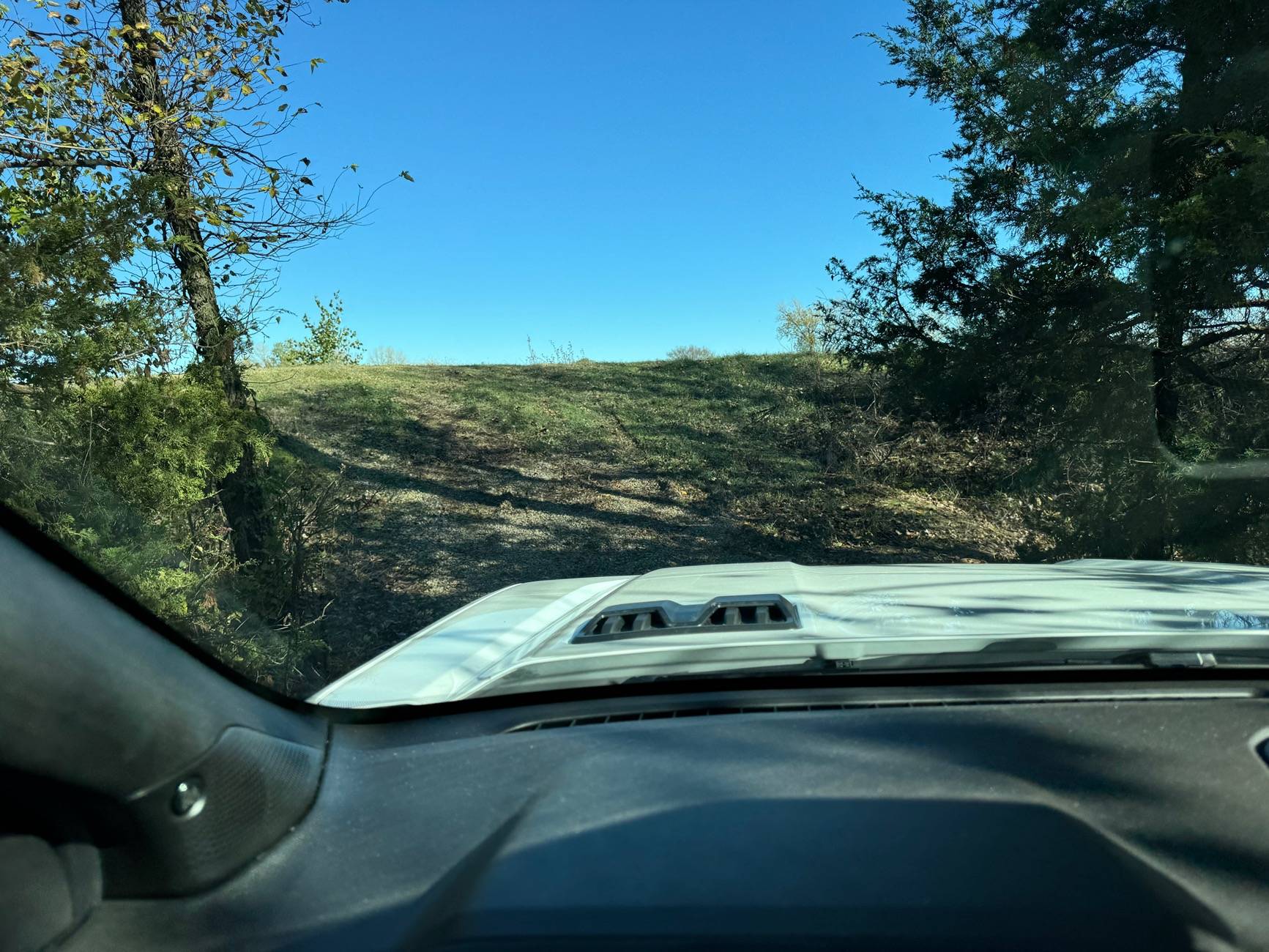 Ford Ranger Show your latest Ranger & Ranger Raptor pics! 🤳 IMG_0154