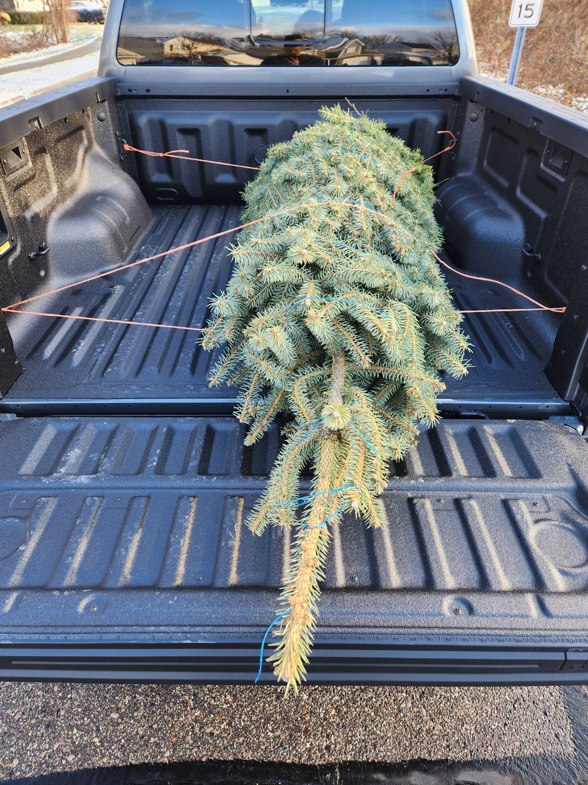 Ford Ranger Christmas Tree Hauling with the 2.7 Ranger XLT! 1000037938